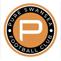Pure Swansea Football Club Pure Swansea Football Club