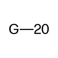 G-20 Group