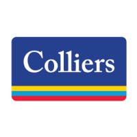 Colliers Colliers