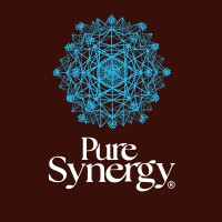 The Synergy Company The Synergy Company
