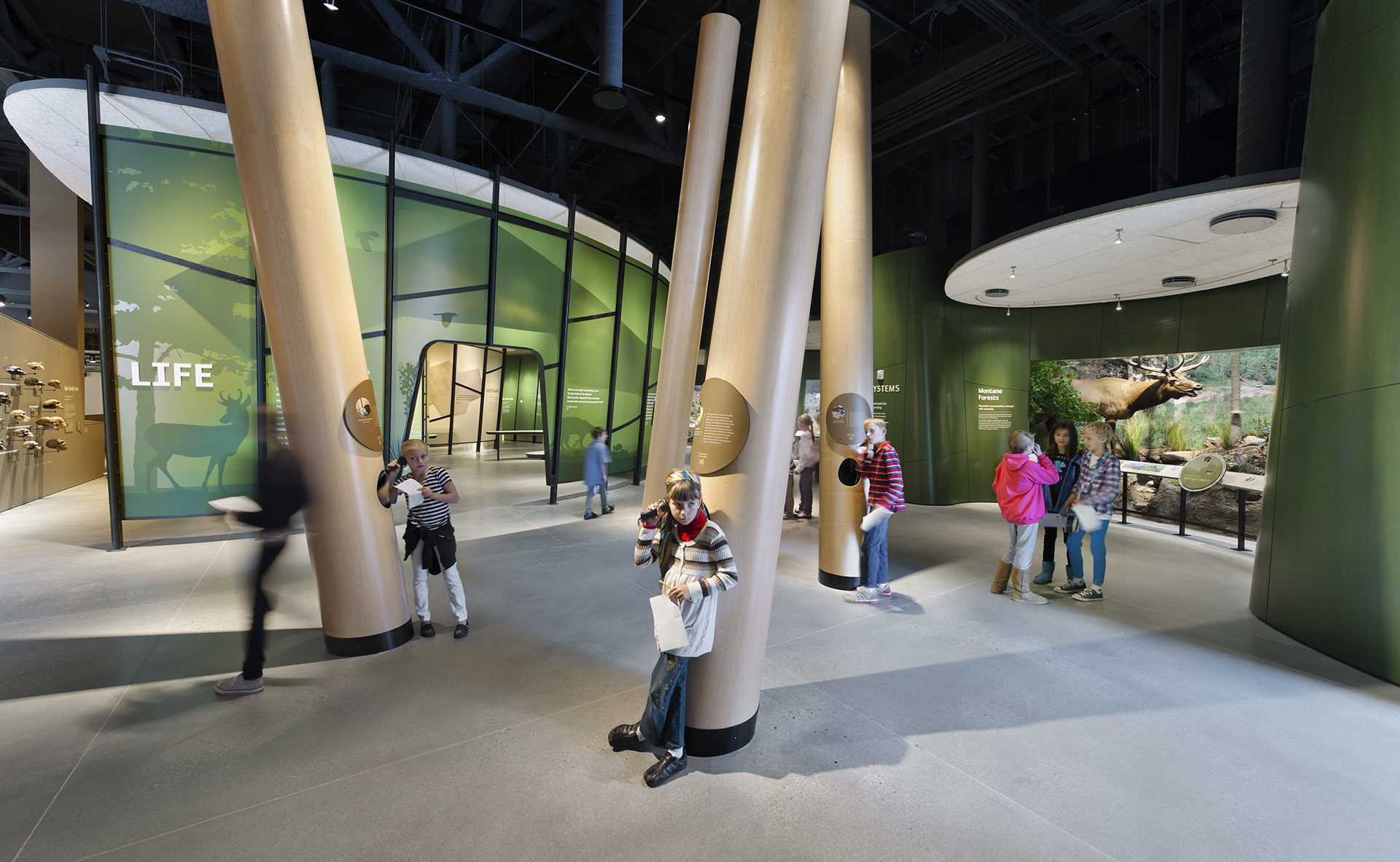 Natural History Museum of Utah ennead