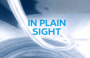 1st Annual Online Juried Competition 'In Plain Sight'