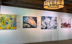 Nimbash 2026  Call for Art