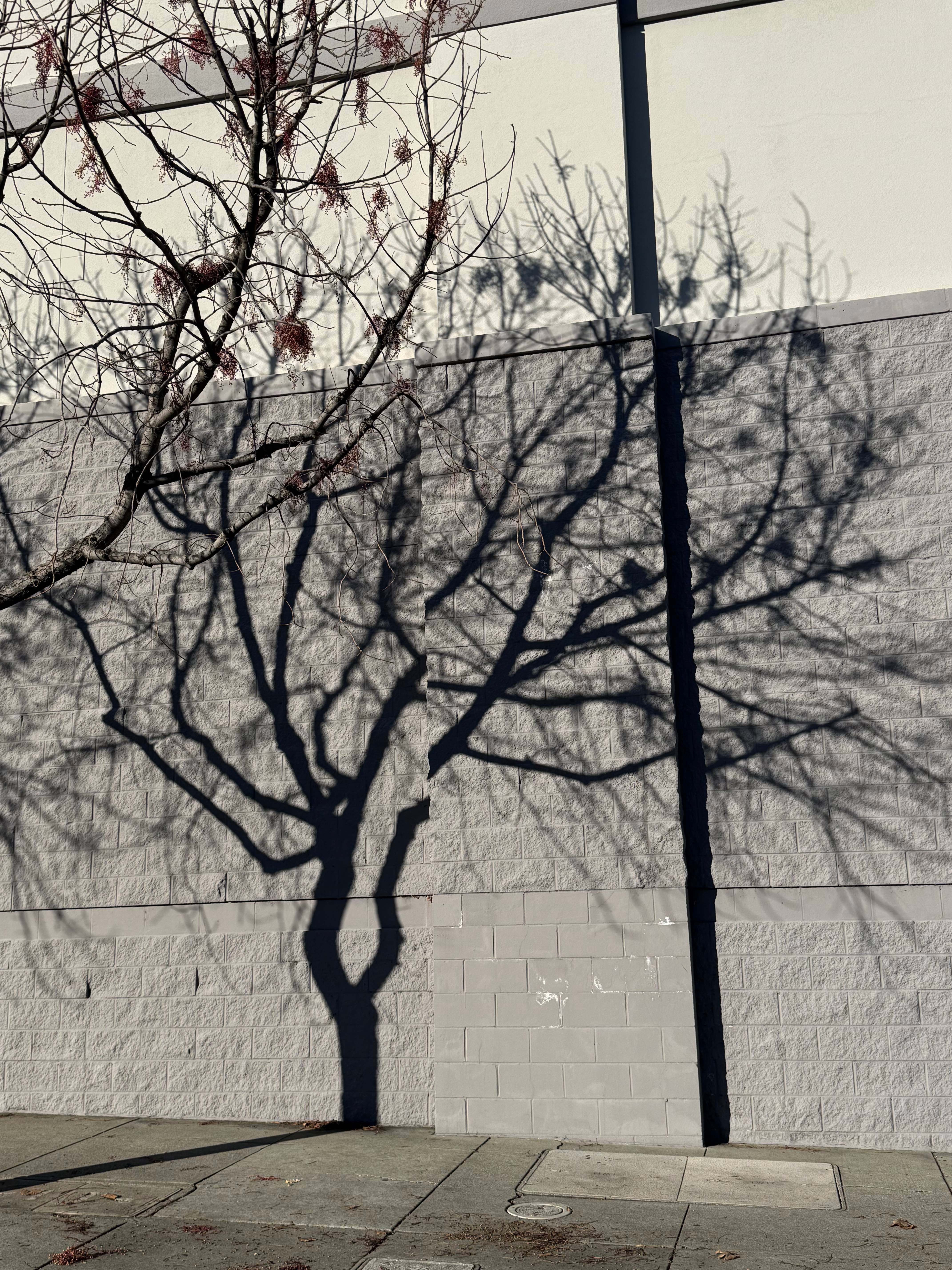 Third Annual Juried Student Exhibition (Peralta Colleges Students Only)