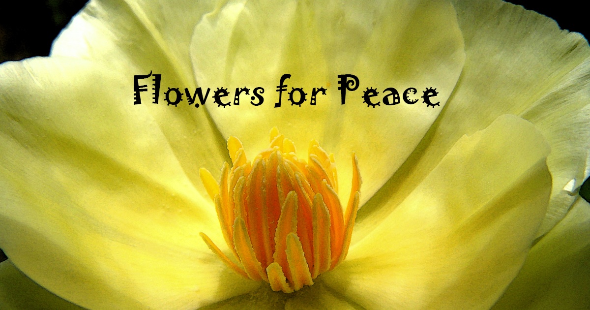 Flowers for Peace