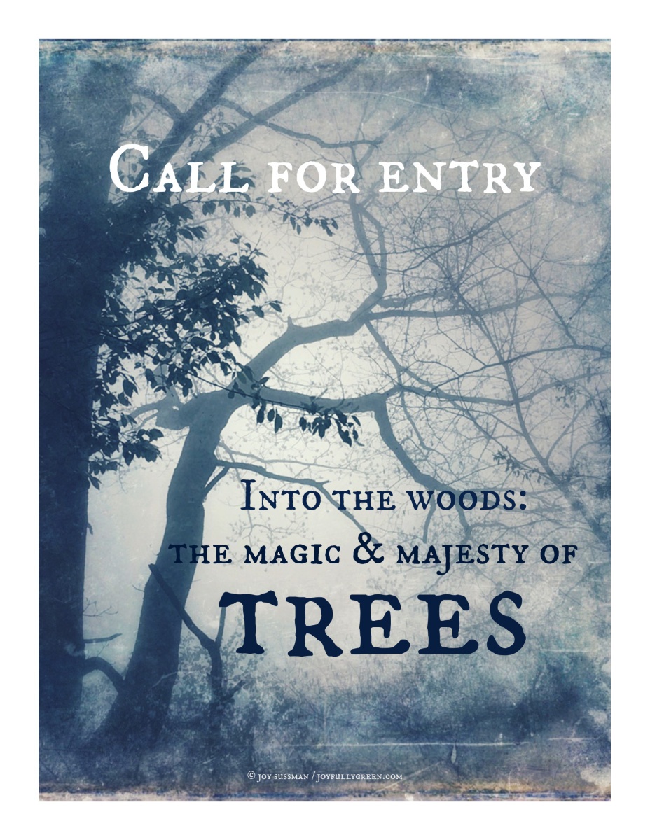 Into the Woods: The Magic & Majesty of Trees