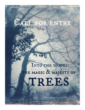 Into the Woods: The Magic & Majesty of Trees
