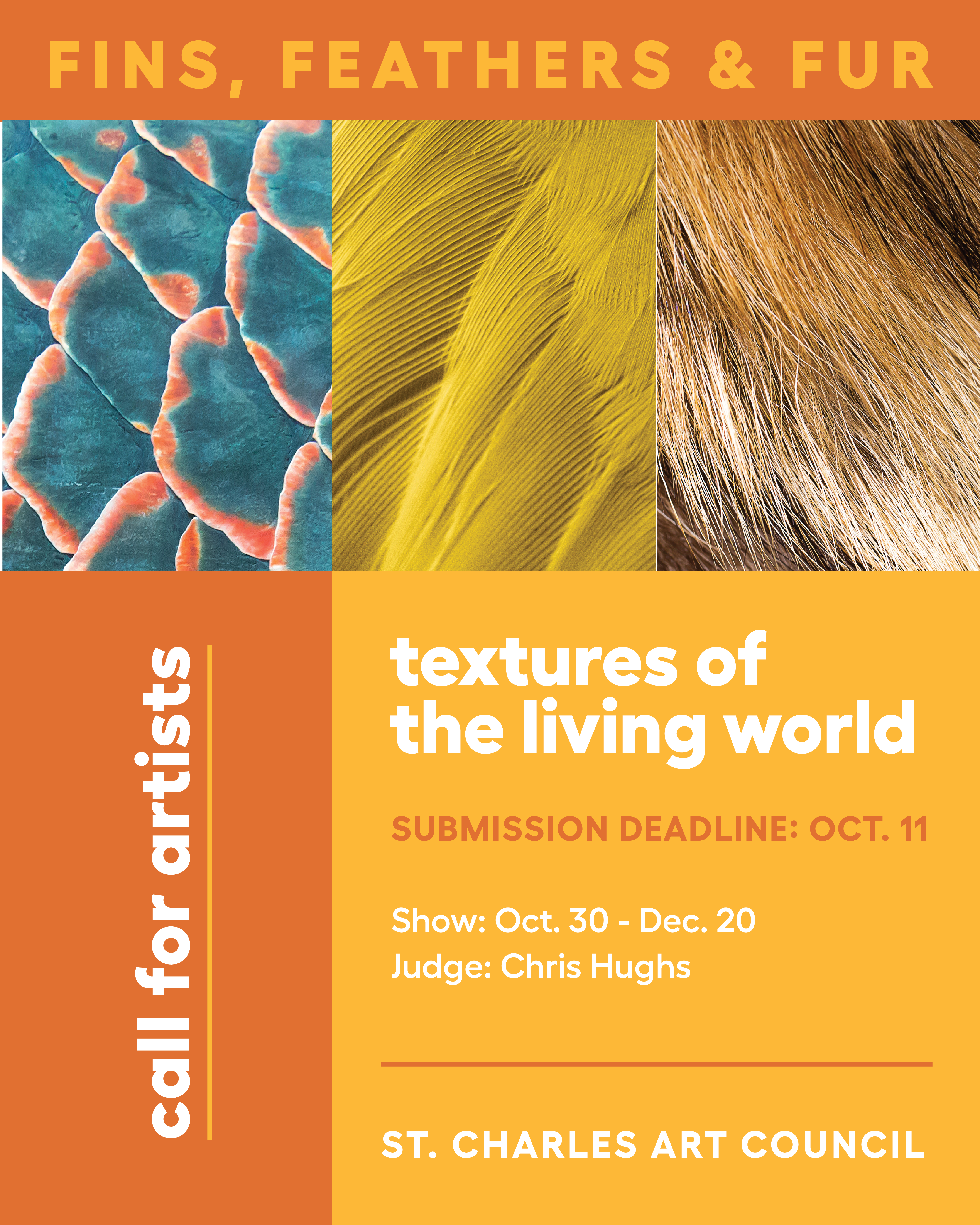 Fins, Feathers, and Fur