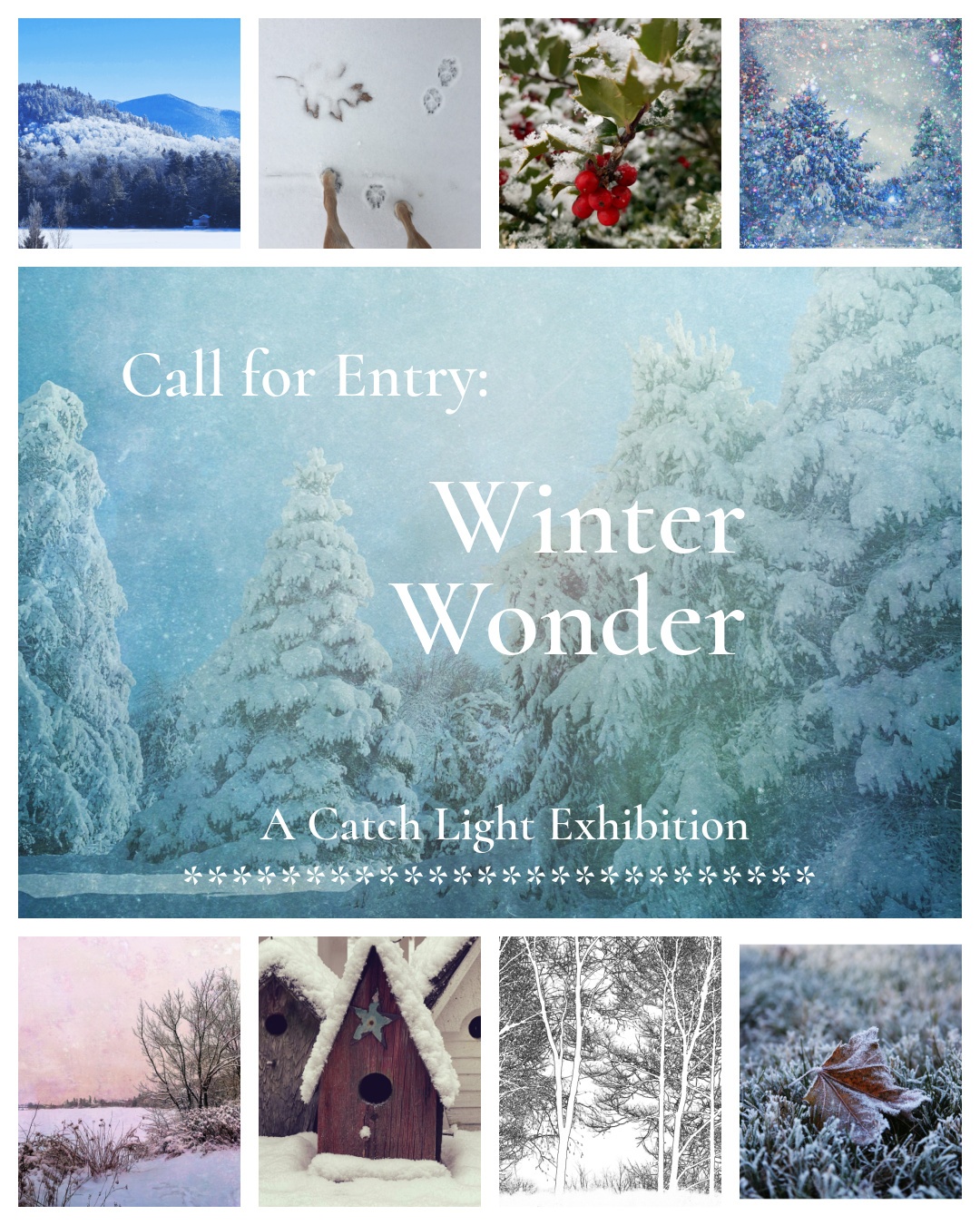 Winter Wonder