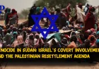 Understanding the Genocide in Sudan: Israel’s Covert Involvement and the Palestinian Resettlement Agenda