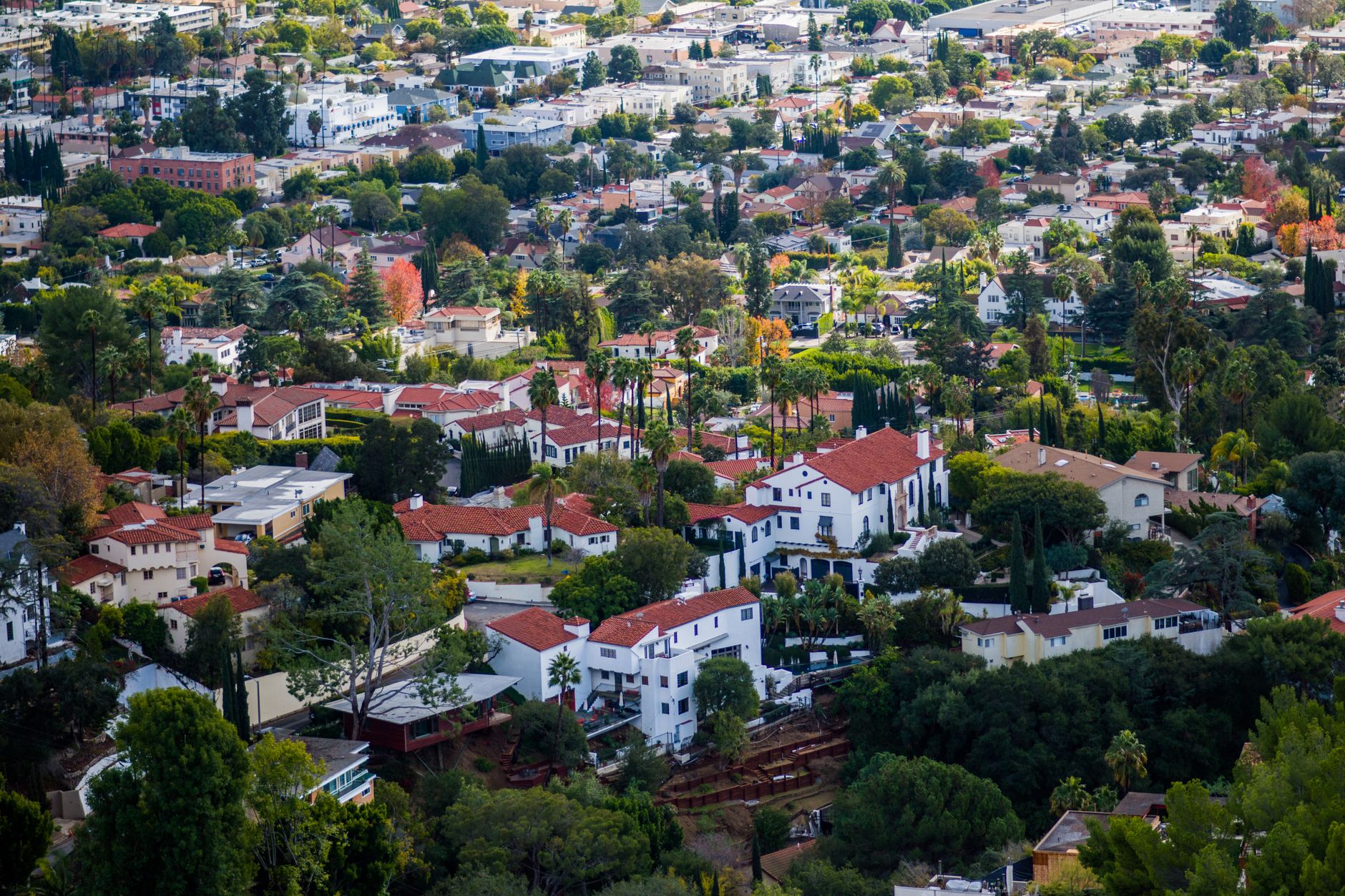 Los Altos area