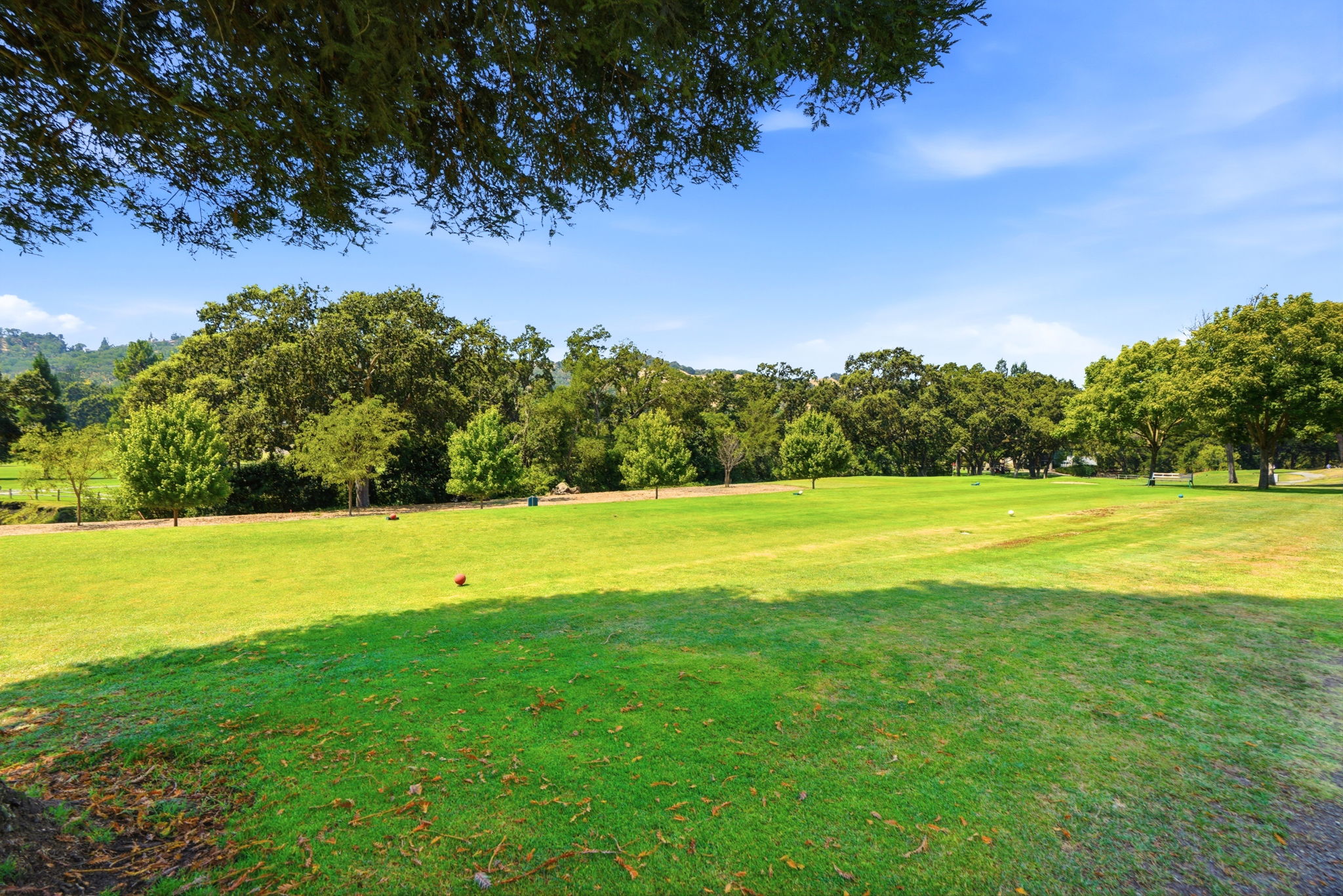 1323 Golden Rain Rd #3, Walnut Creek, CA
