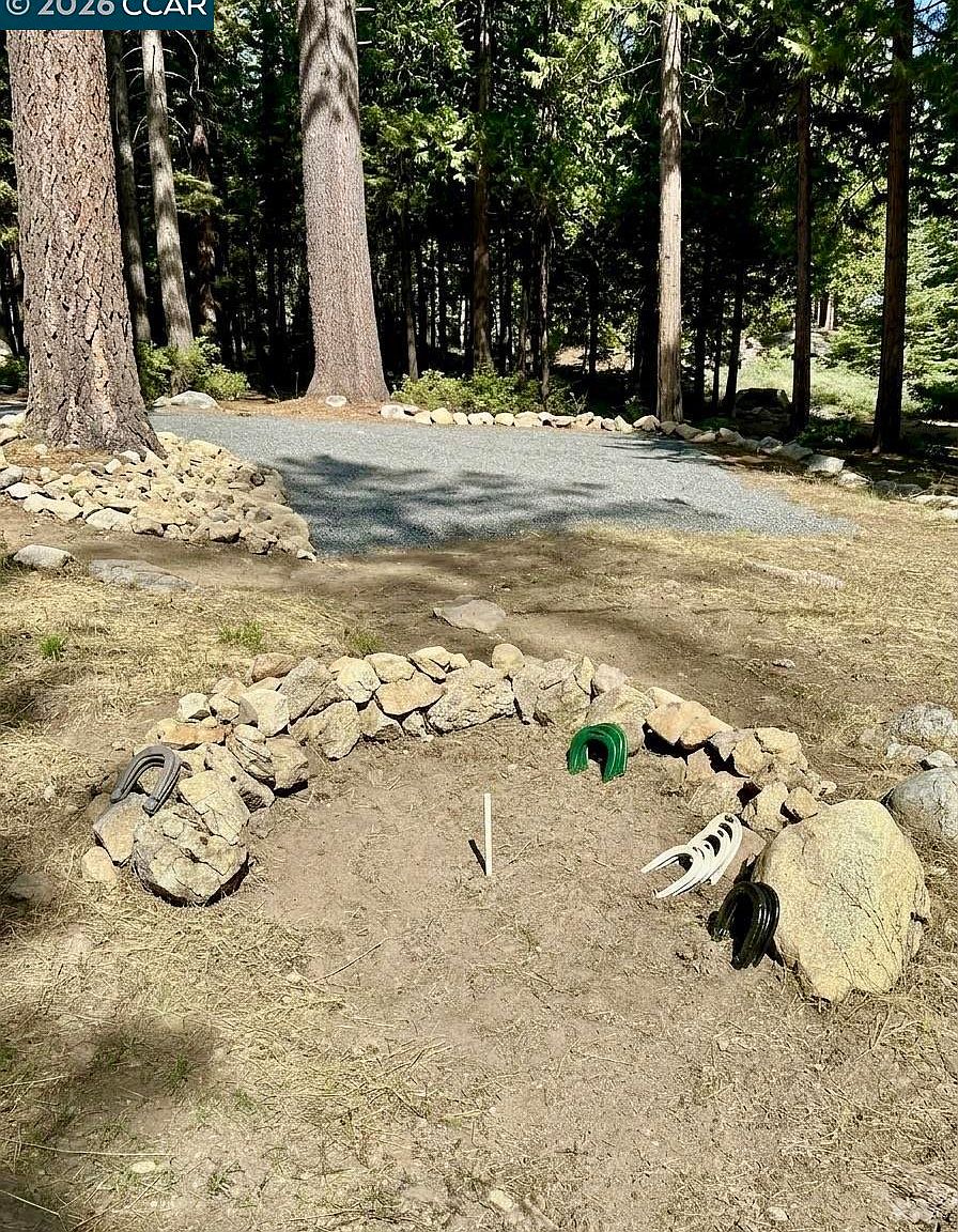 91 Segale Dr, Camp Connell, CA