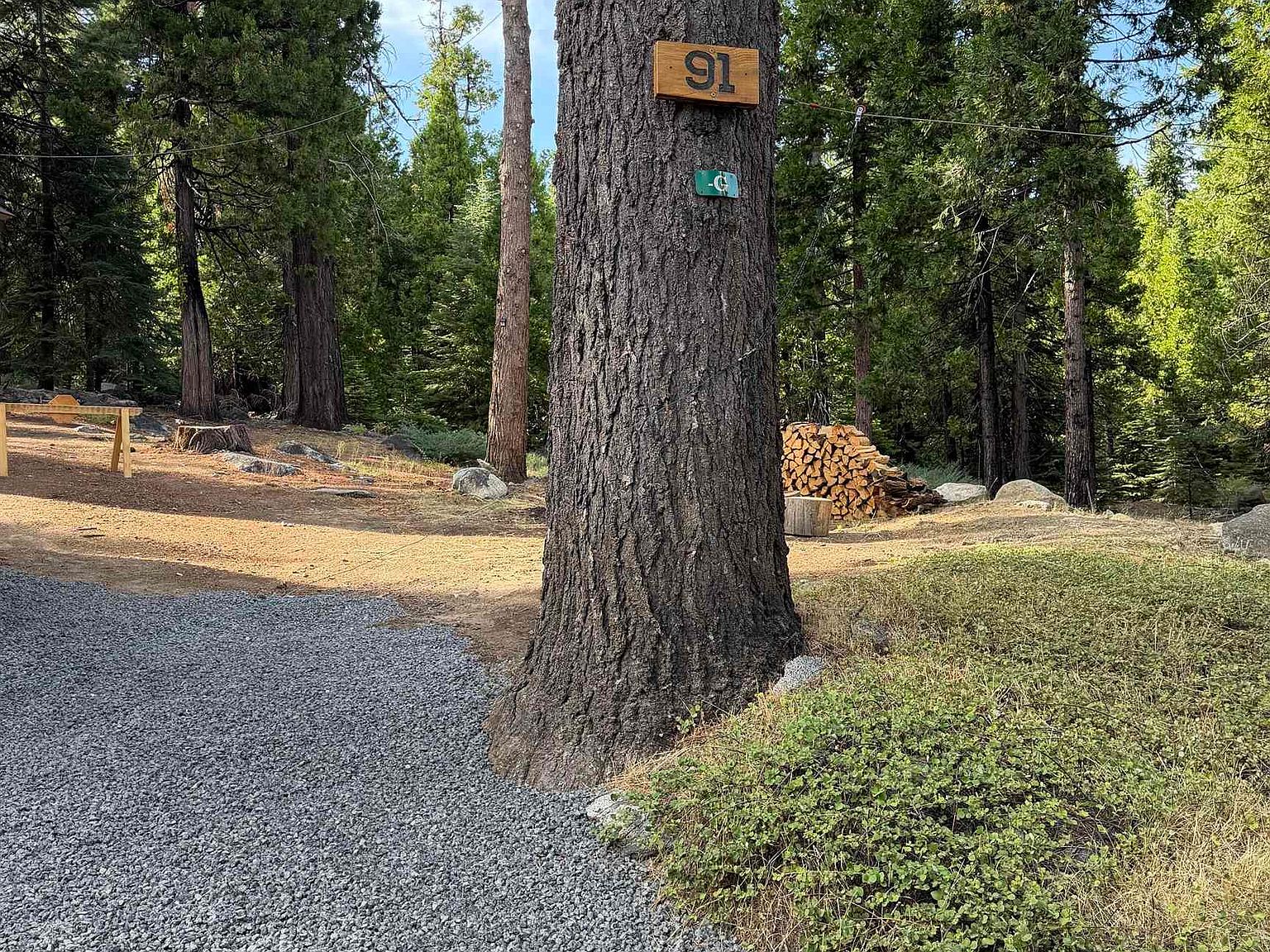 91 Segale Dr, Camp Connell, CA