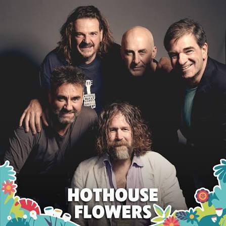Hothouse Flowers