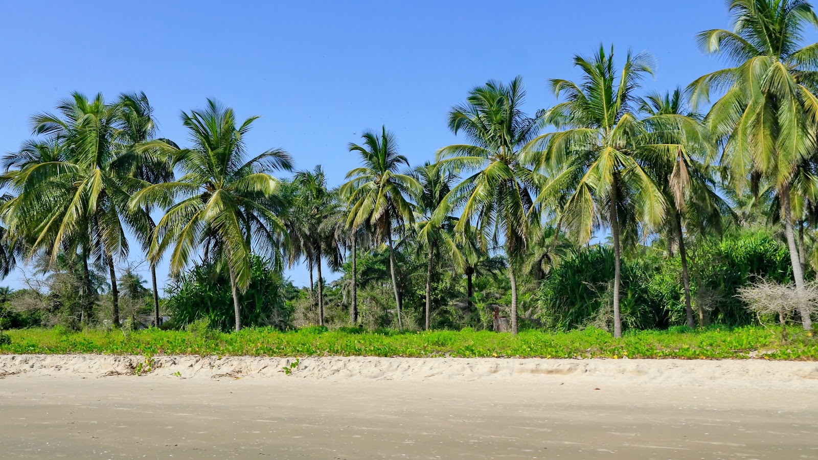 Senegal