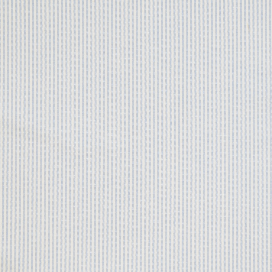 New Leighton Cornflower