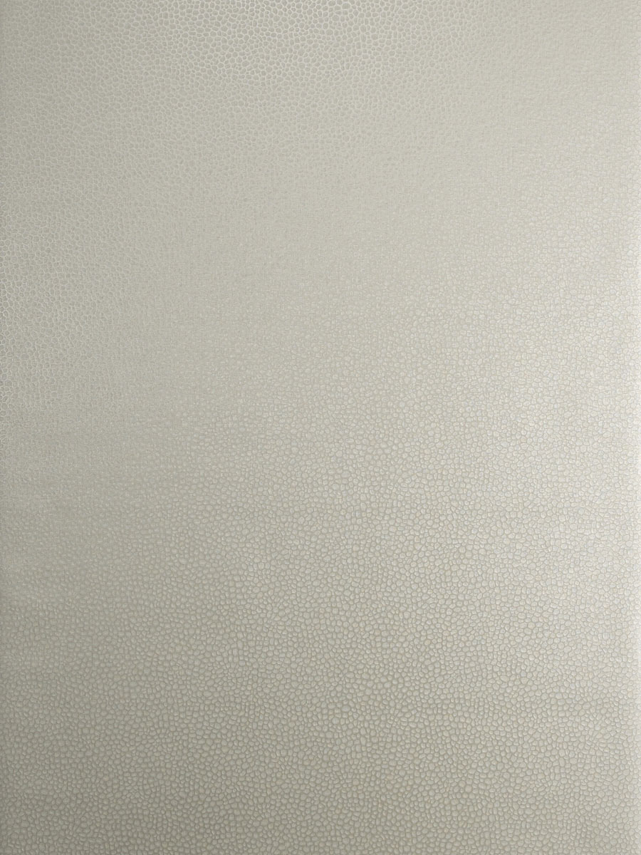 30016W Antique SILVER-01