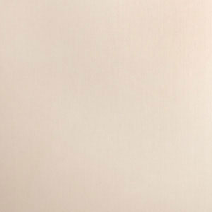 02345 Canvas