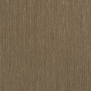 75196W Ramsey Fossil 08