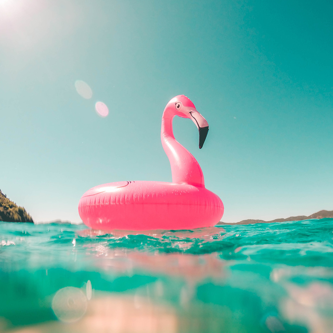 Mental Health Flamingo (📷 @vicko on Unsplash)