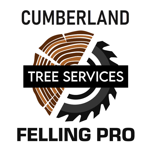 Cumberland Felling Pro Tree Services