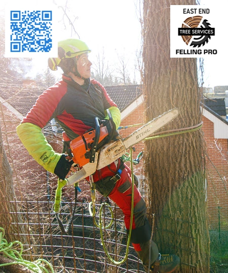 Tree Service in Fairmount -East End Felling Pro