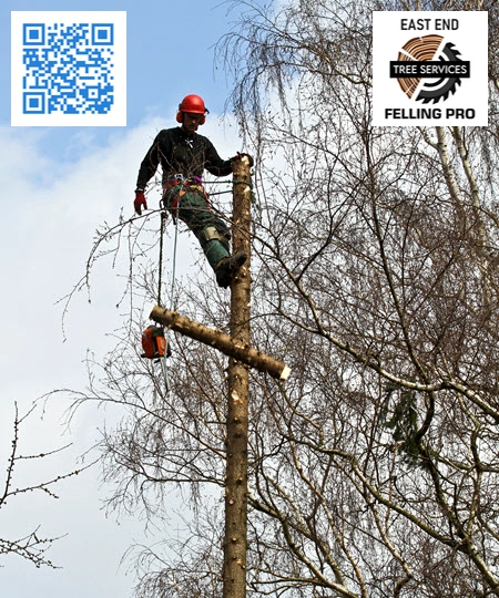 Tree Service in Richmond - East End Felling Pro
