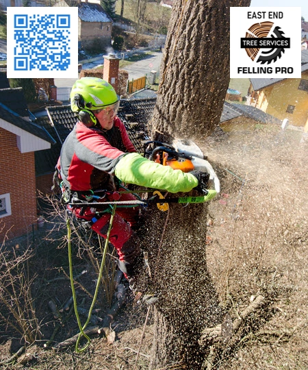 Tree Service in Union Hill - East End Felling Pro