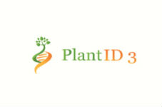 plantid3-finalist-in-global-competition-toursnapp-featured-in-sonntags-journal-and-more hero image