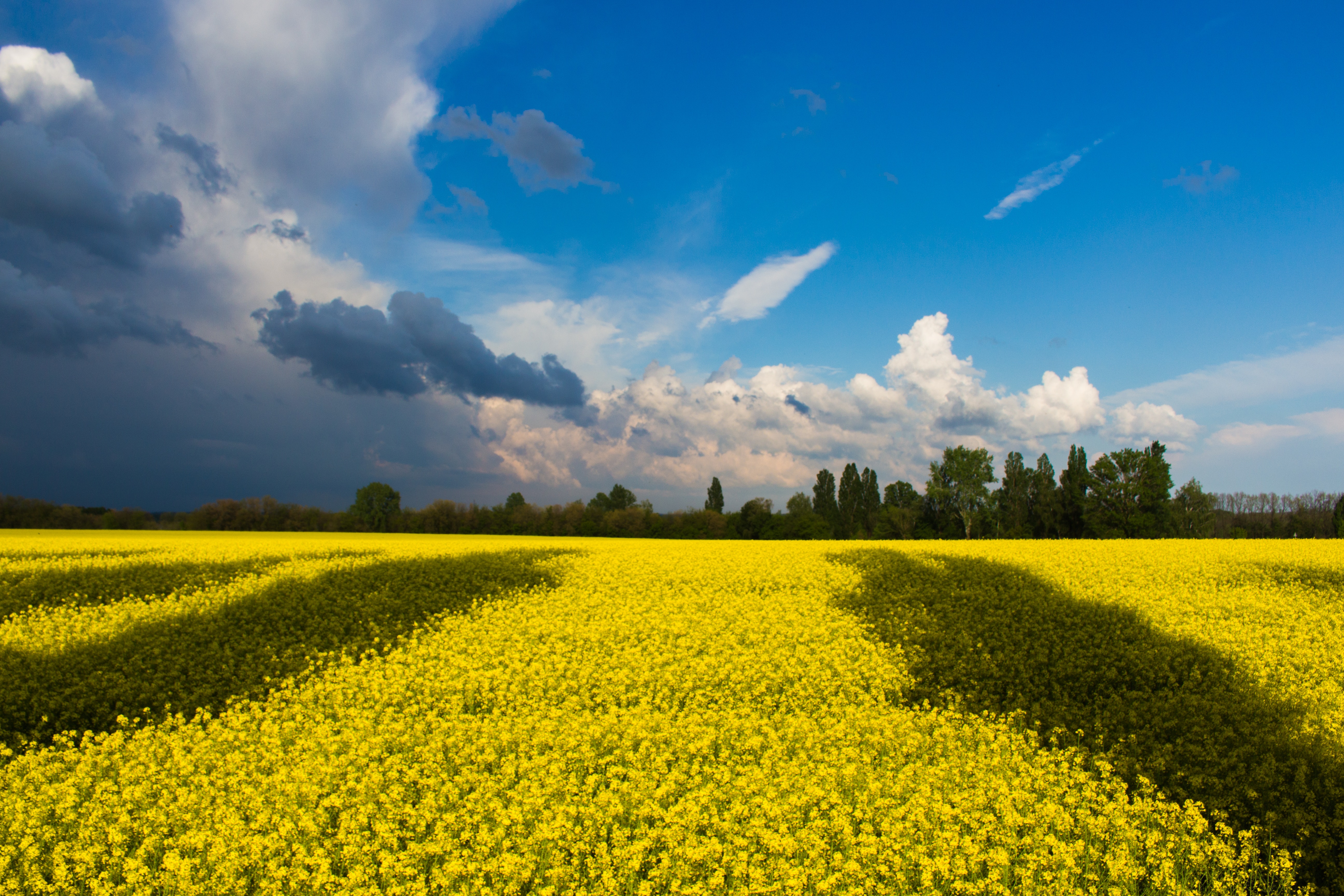 applications-open-to-founder-institute-ukraine-virtual-2022 hero image