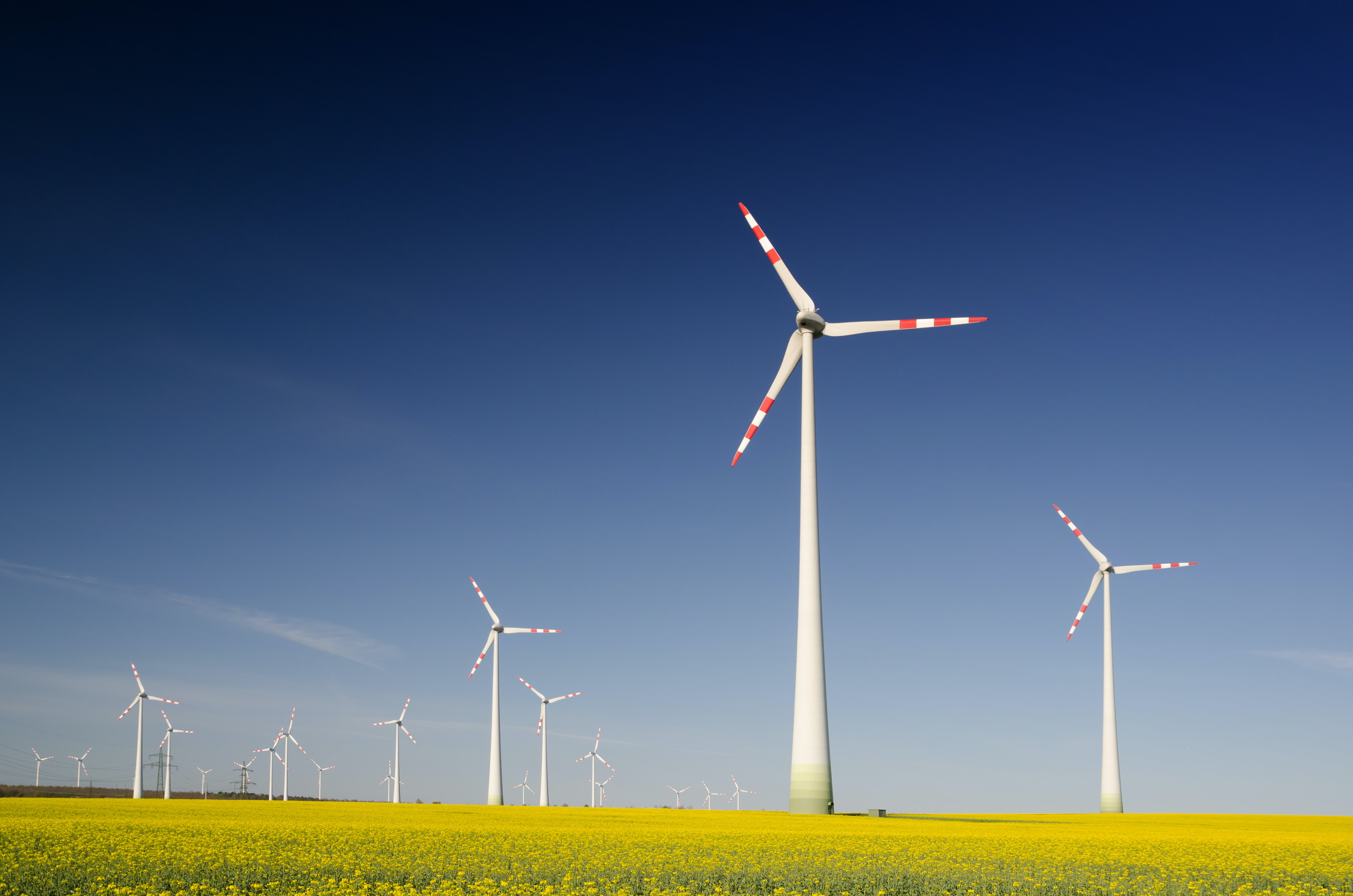 impact-and-sustainability-startup-resource-list-accelerators-incubators-investors-and-more hero image