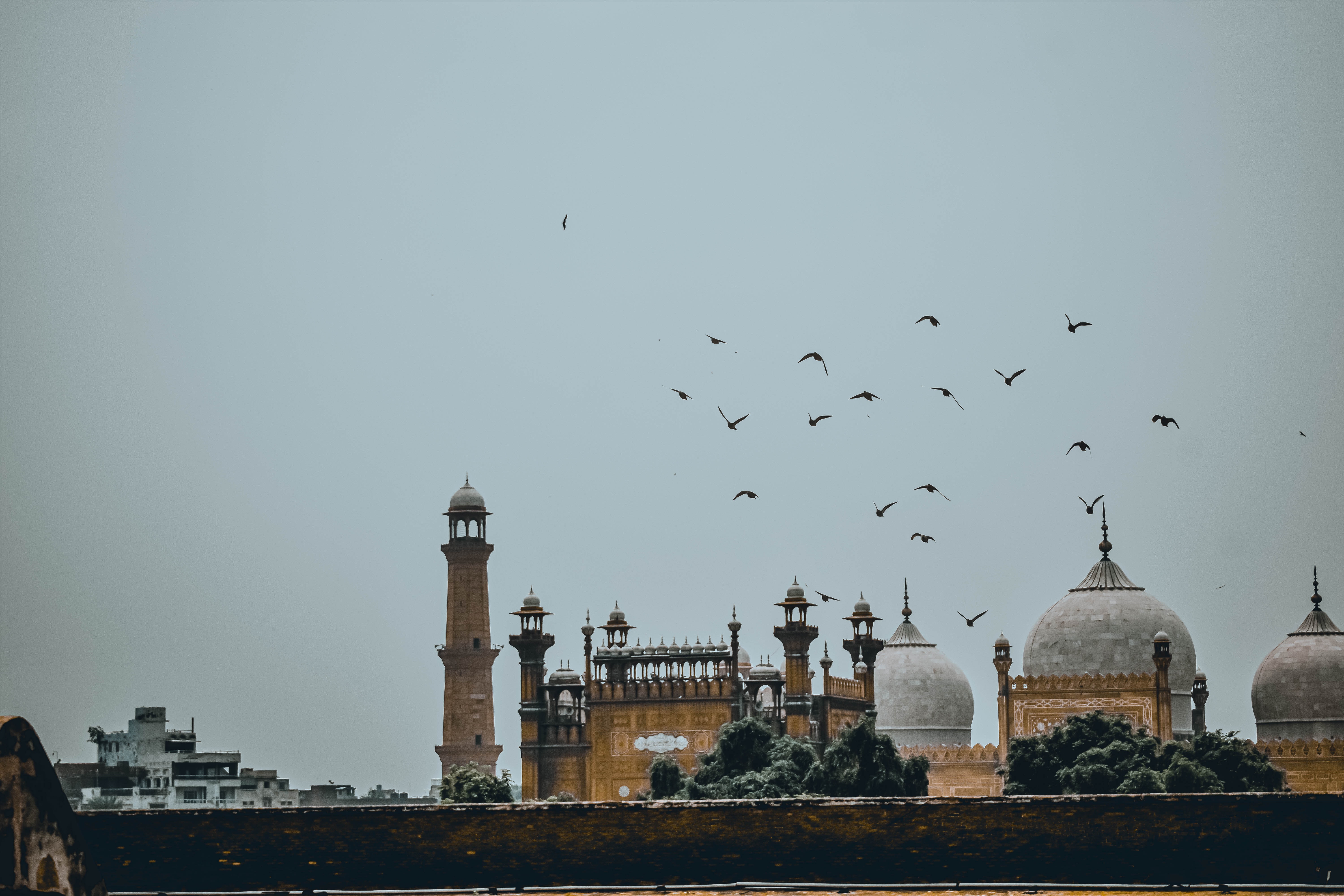 applications-now-open-to-founder-institute-pakistan-2023 hero image