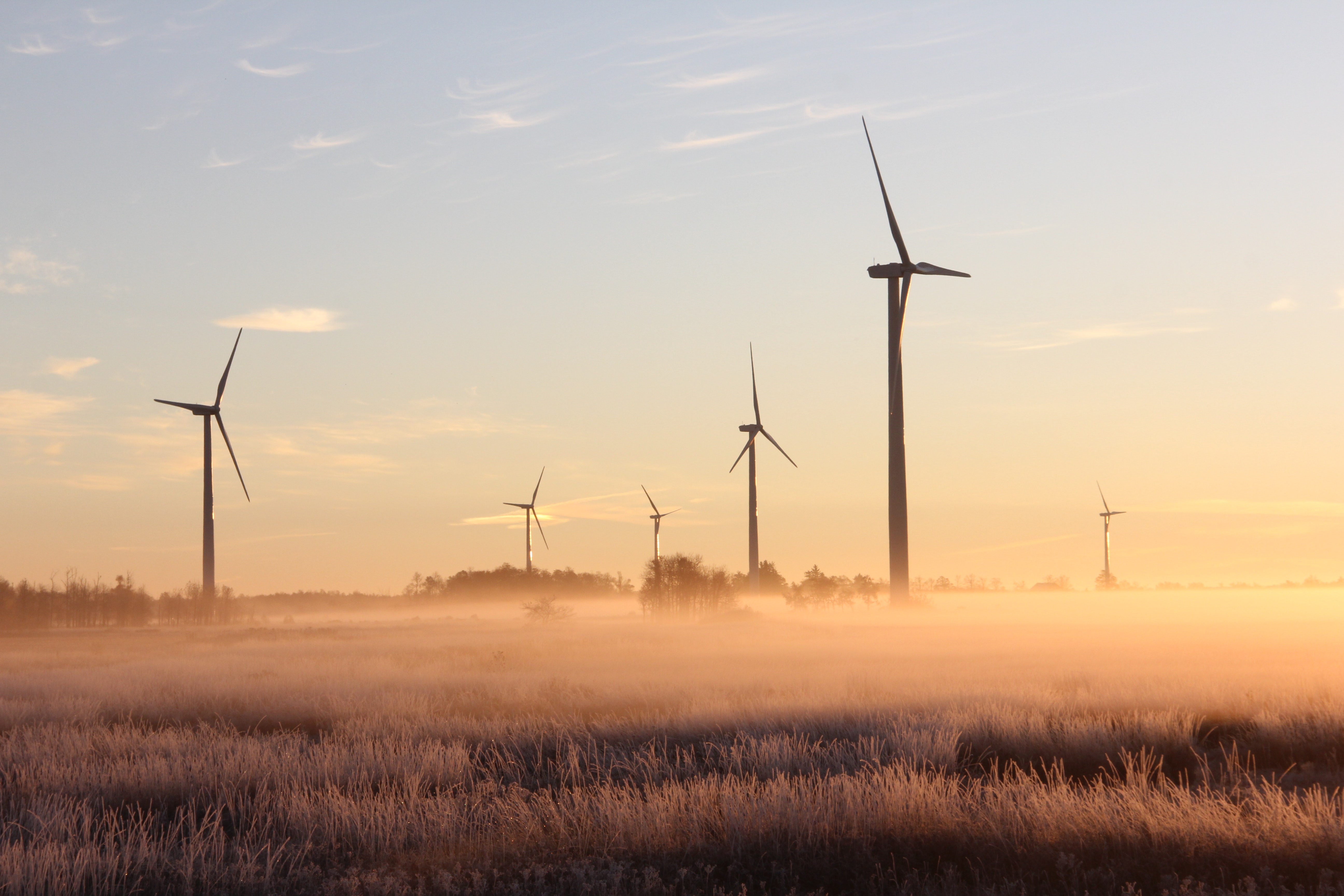 applications-now-open-to-founder-institute-impact-and-sustainability-2023 hero image