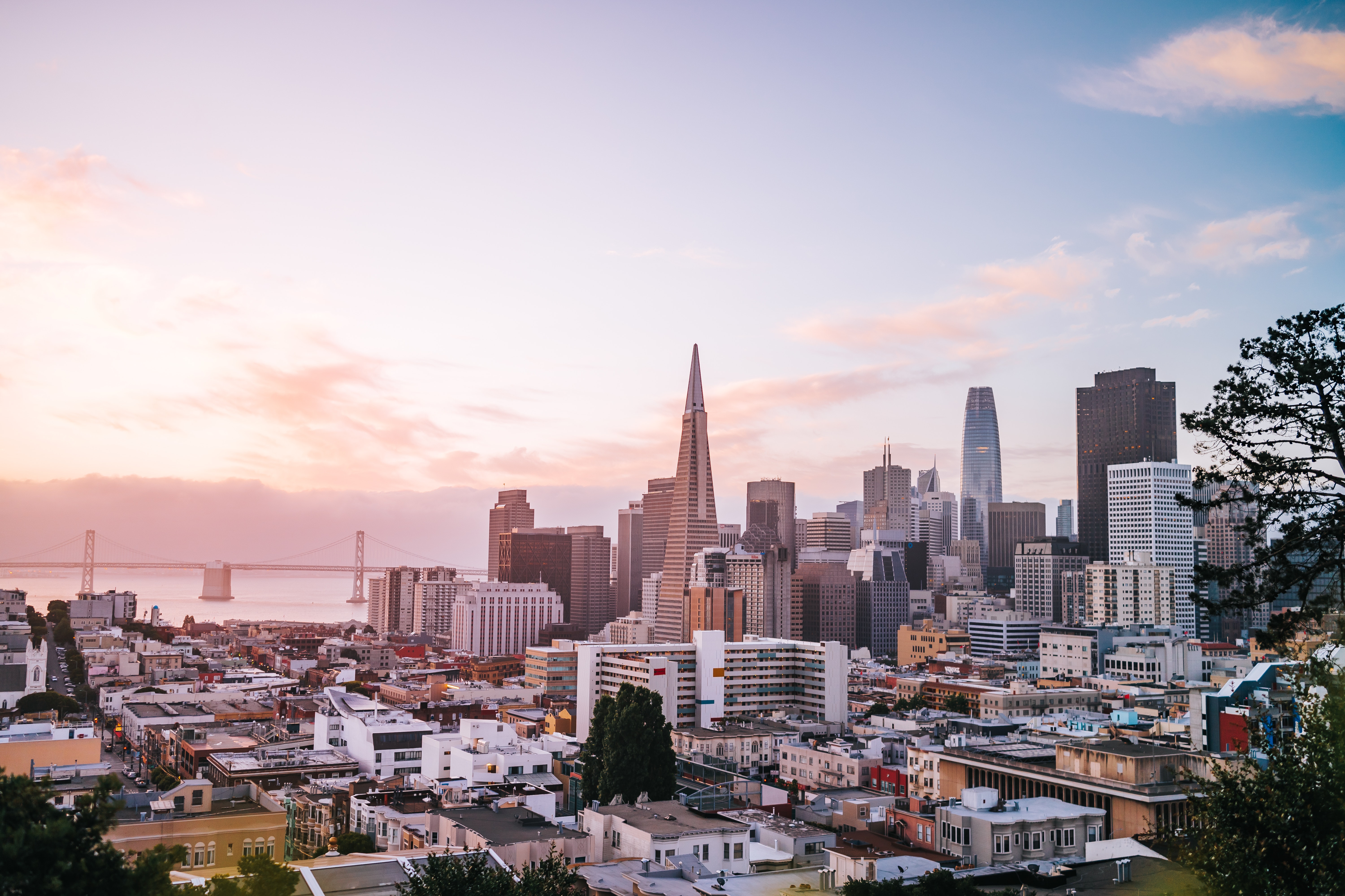 build-a-great-startup-in-2023-with-the-fi-silicon-valley-startup-accelerator hero image