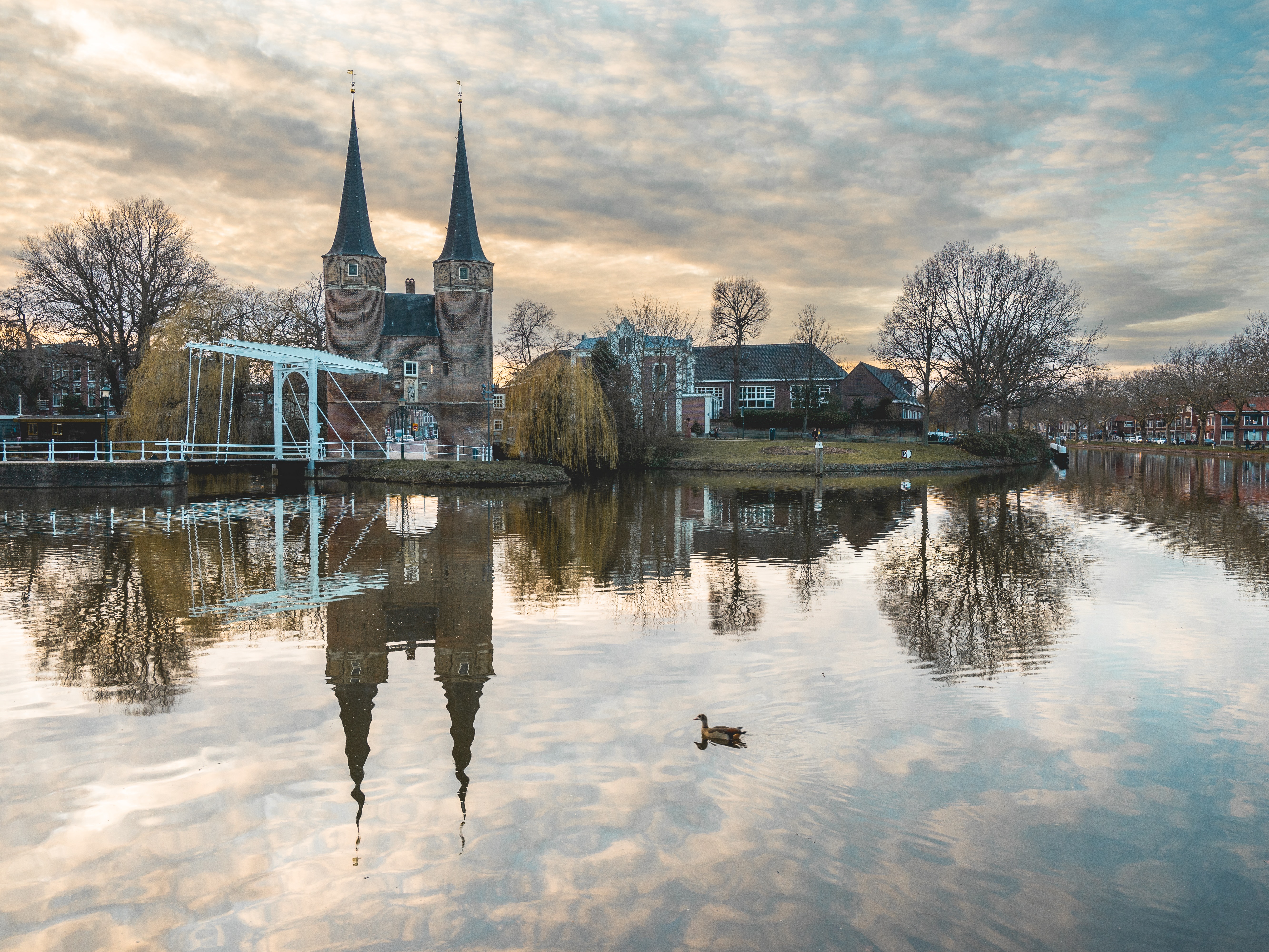 build-a-great-startup-in-2023-with-the-fi-benelux-startup-accelerator hero image