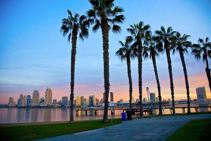 build-a-great-startup-in-2023-with-the-fi-san-diego-startup-accelerator-san-diego hero image