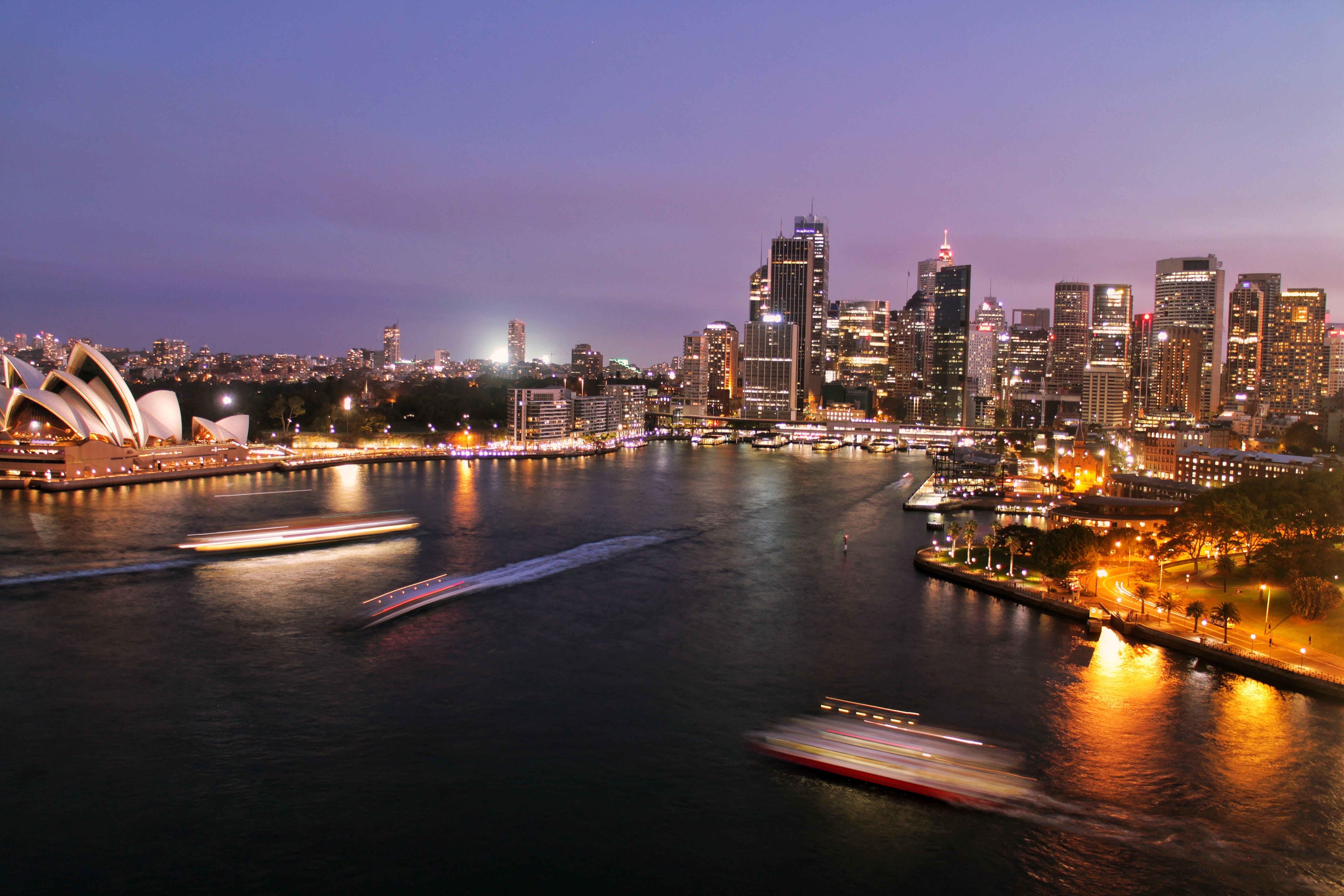 build-a-great-startup-in-2024-with-the-fi-australia-startup-accelerator hero image