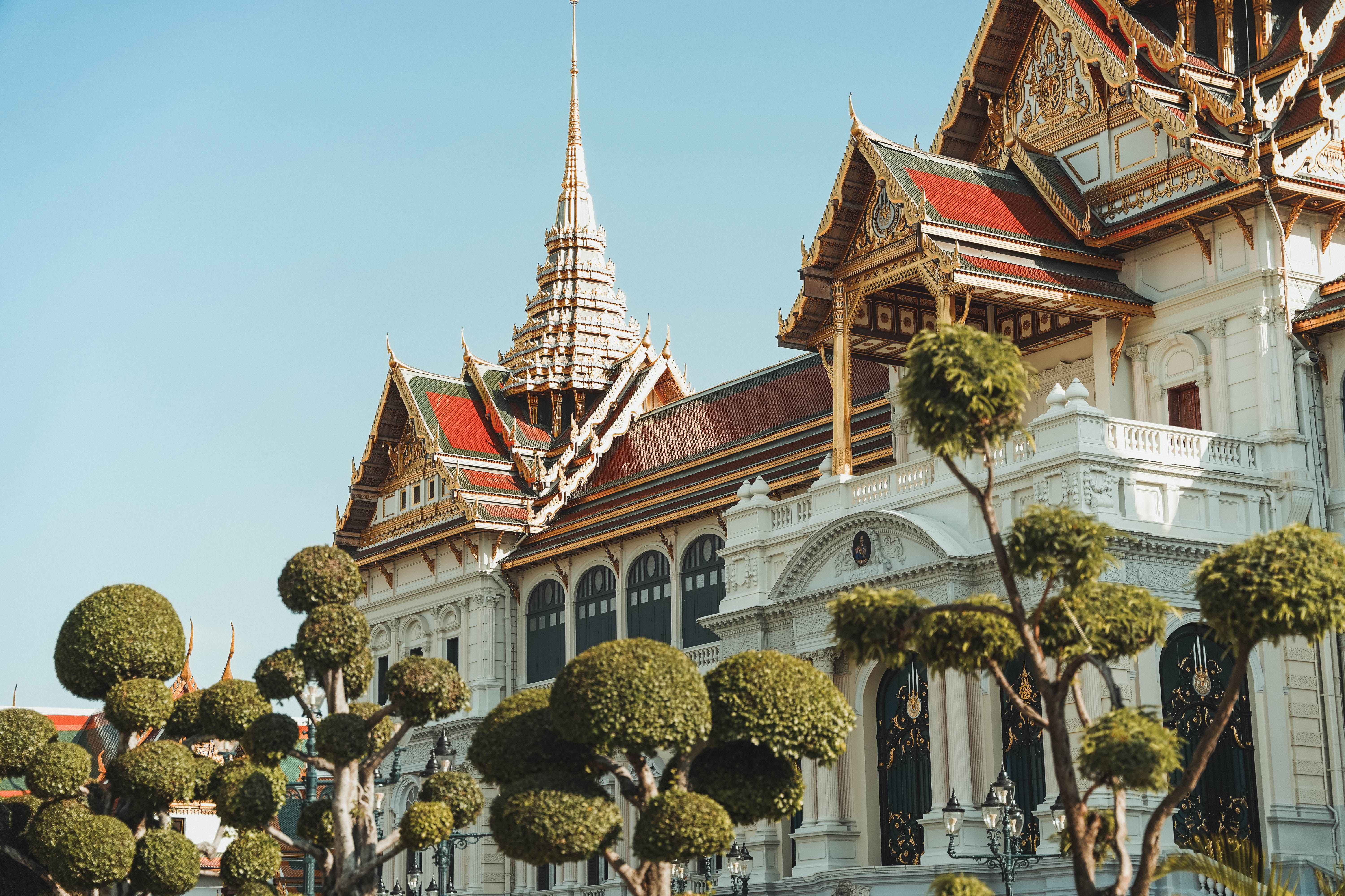 build-a-great-startup-in-2024-with-the-fi-bangkok-startup-accelerator hero image