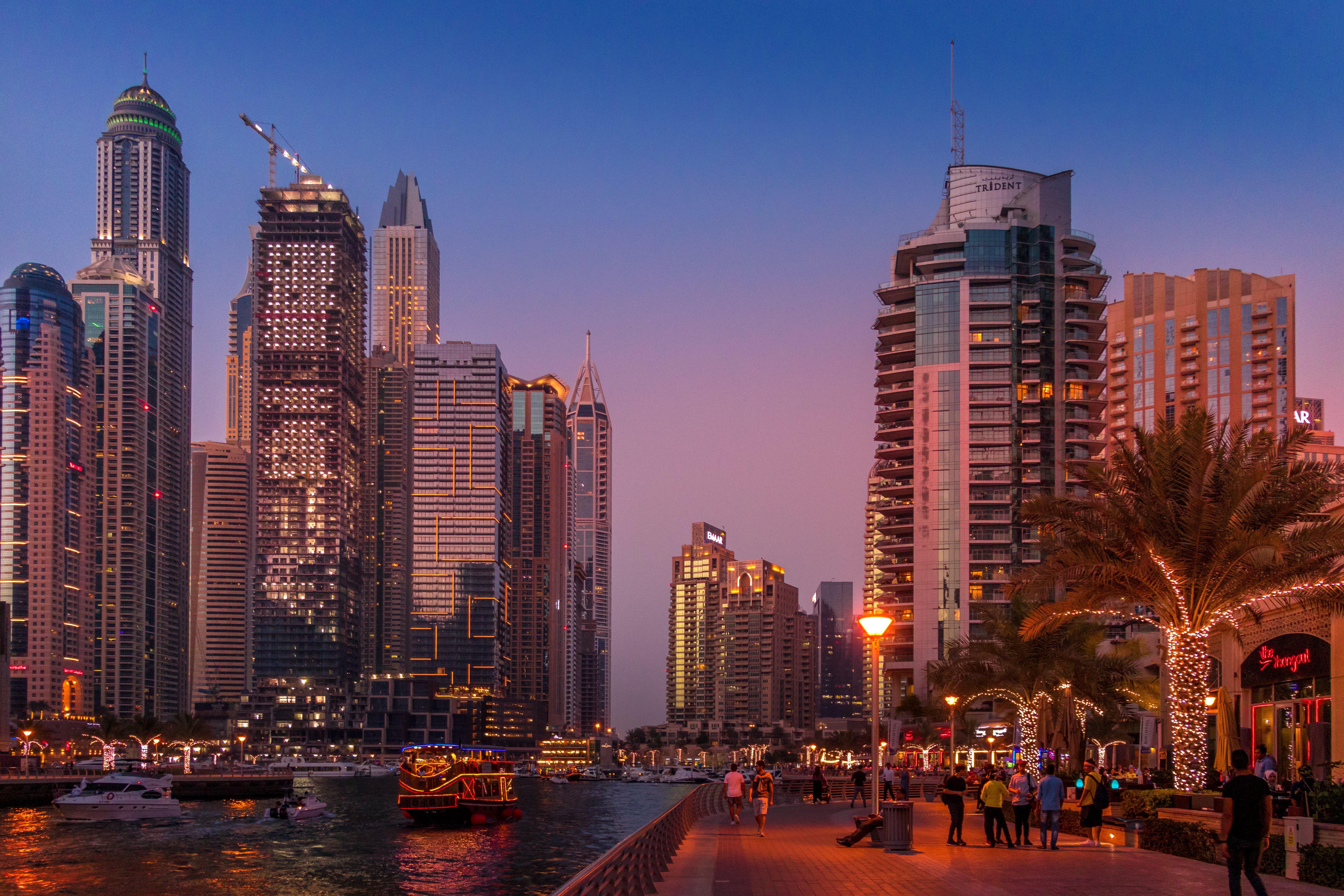 build-a-great-startup-in-2024-with-the-fi-gcc-startup-accelerator hero image