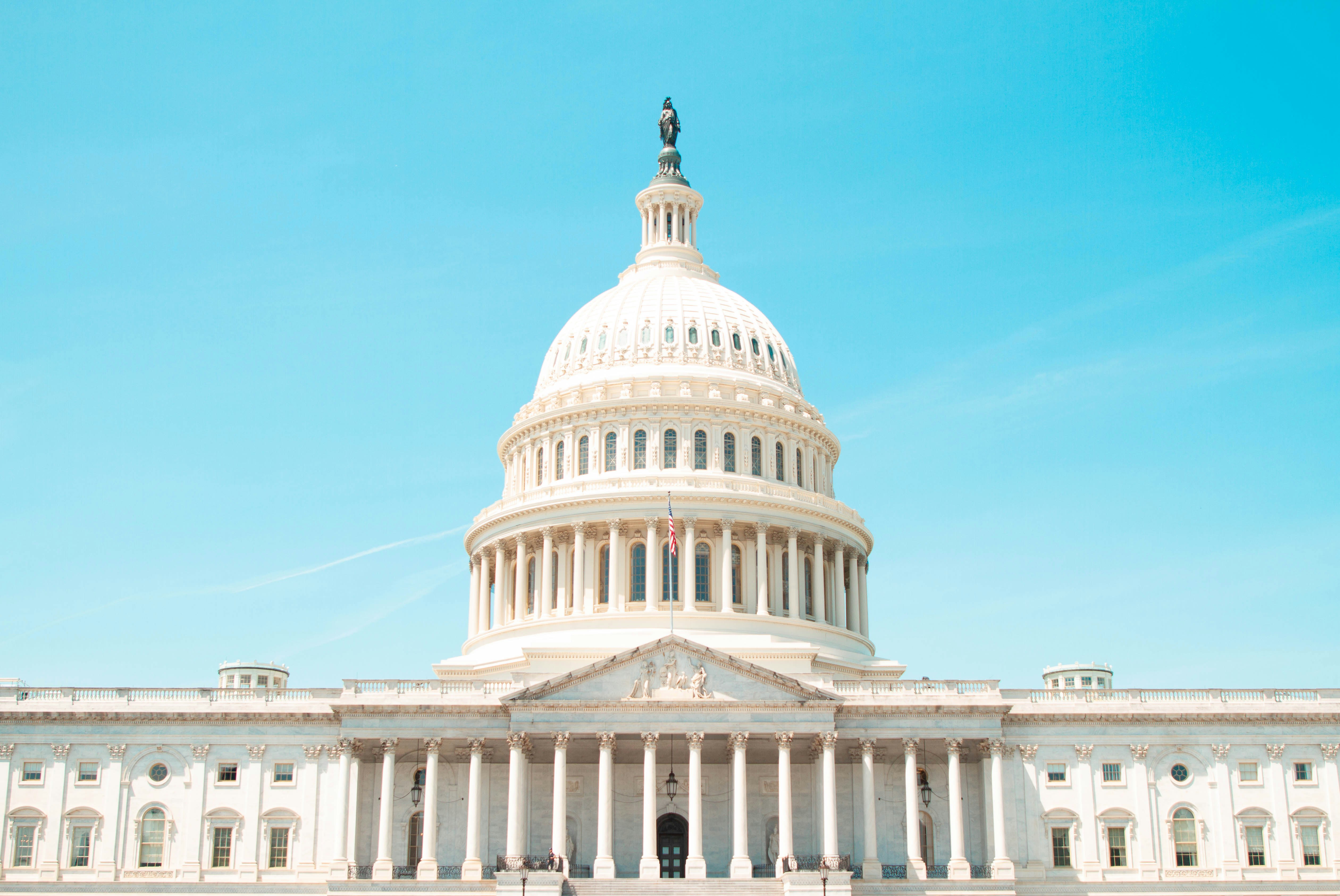build-a-great-startup-in-2024-with-the-fi-washington-dc-startup-accelerator-washington-dc hero image