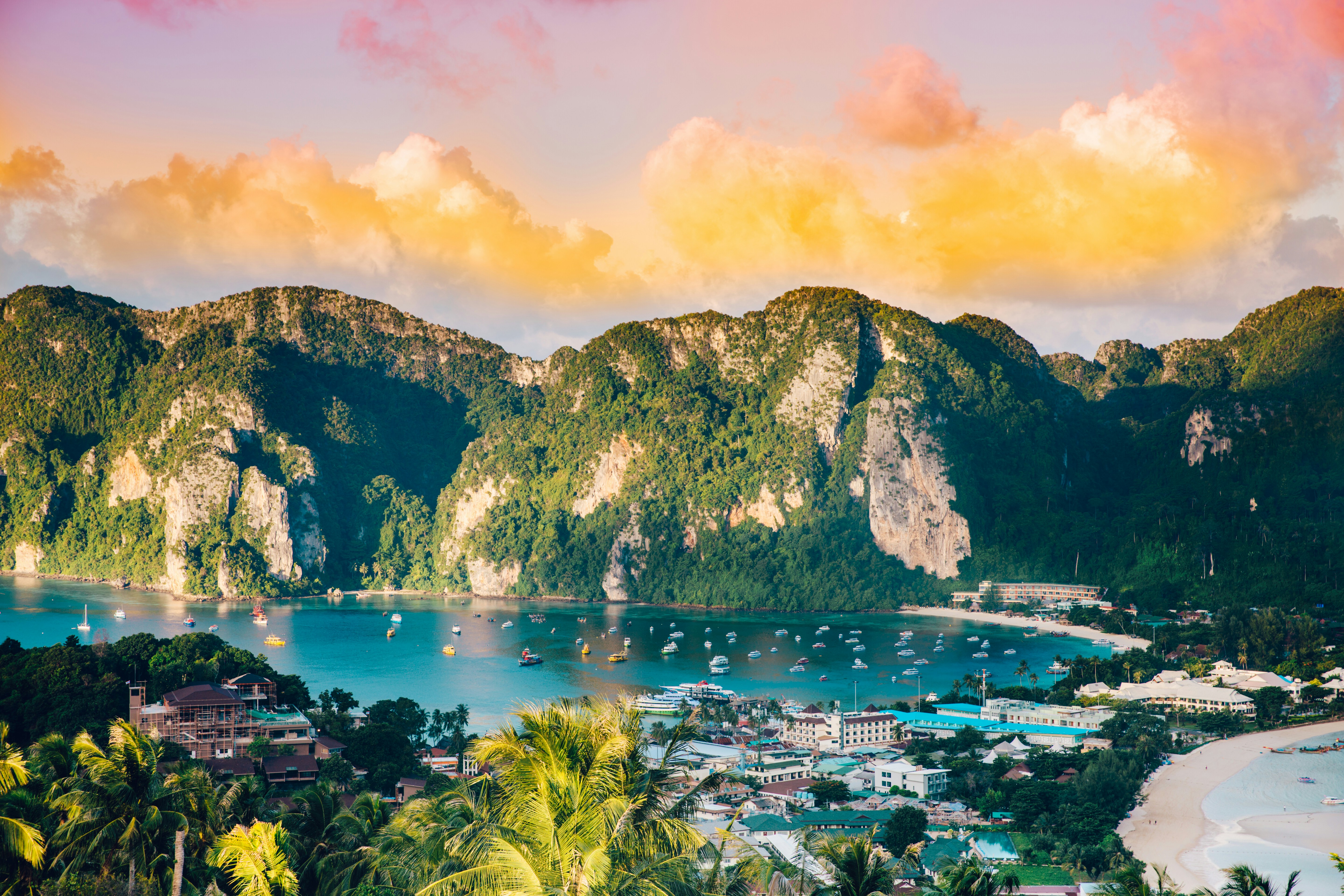 build-a-great-startup-in-2024-with-the-fi-thailand-startup-accelerator hero image