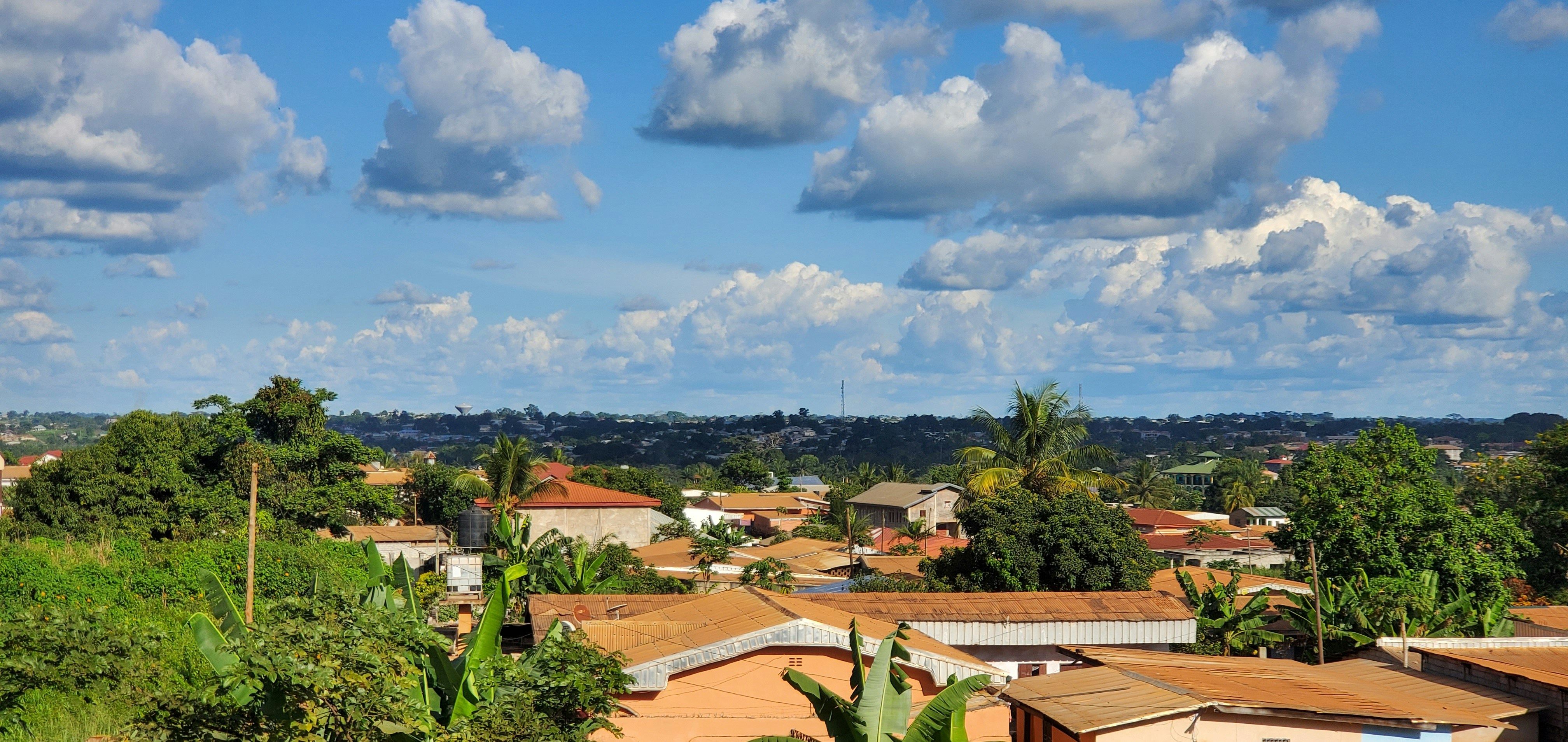 build-a-great-startup-in-2024-with-the-fi-cameroon-startup-accelerator hero image