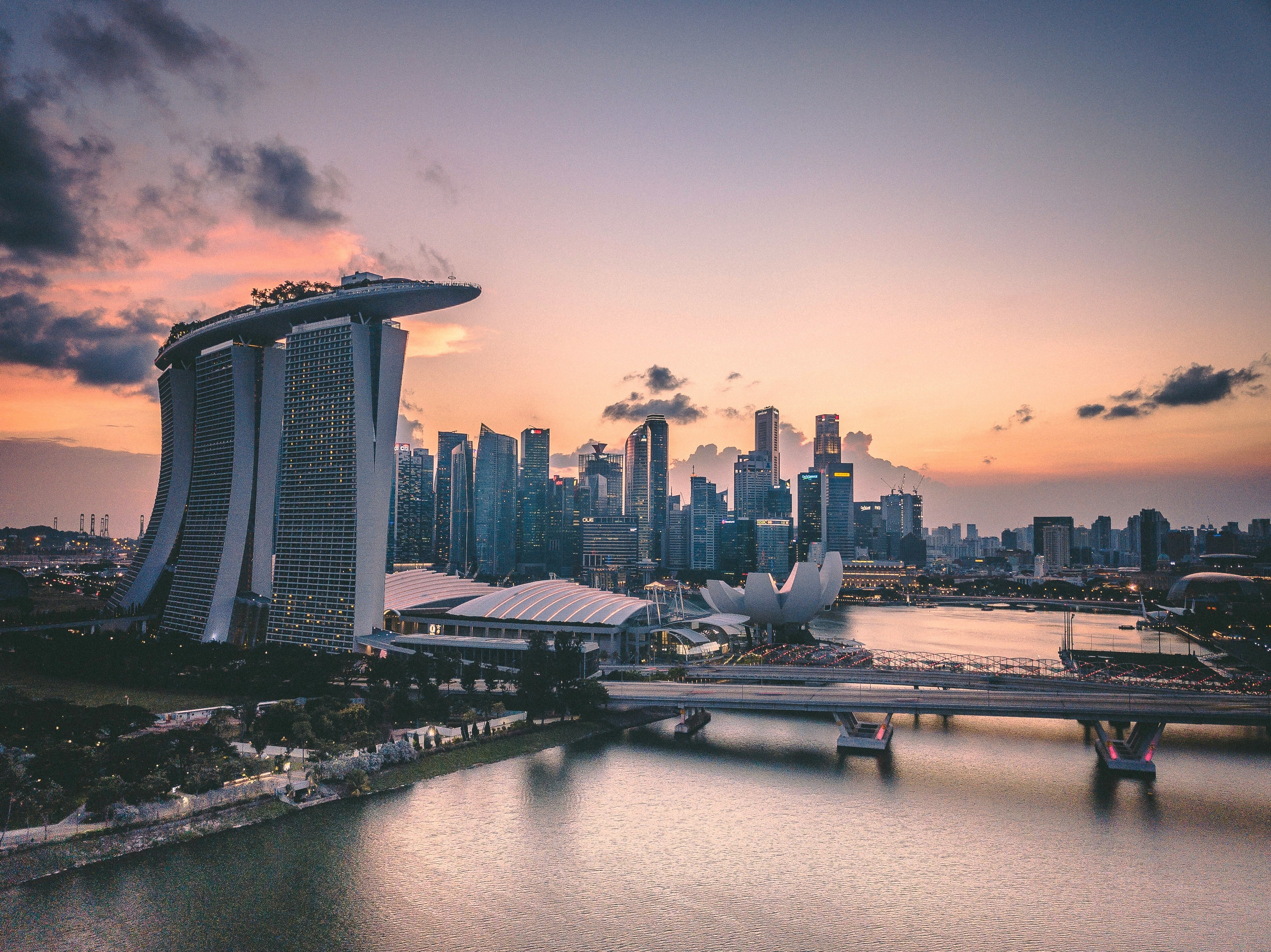 build-a-great-startup-in-2024-with-the-fi-singapore-startup-accelerator hero image