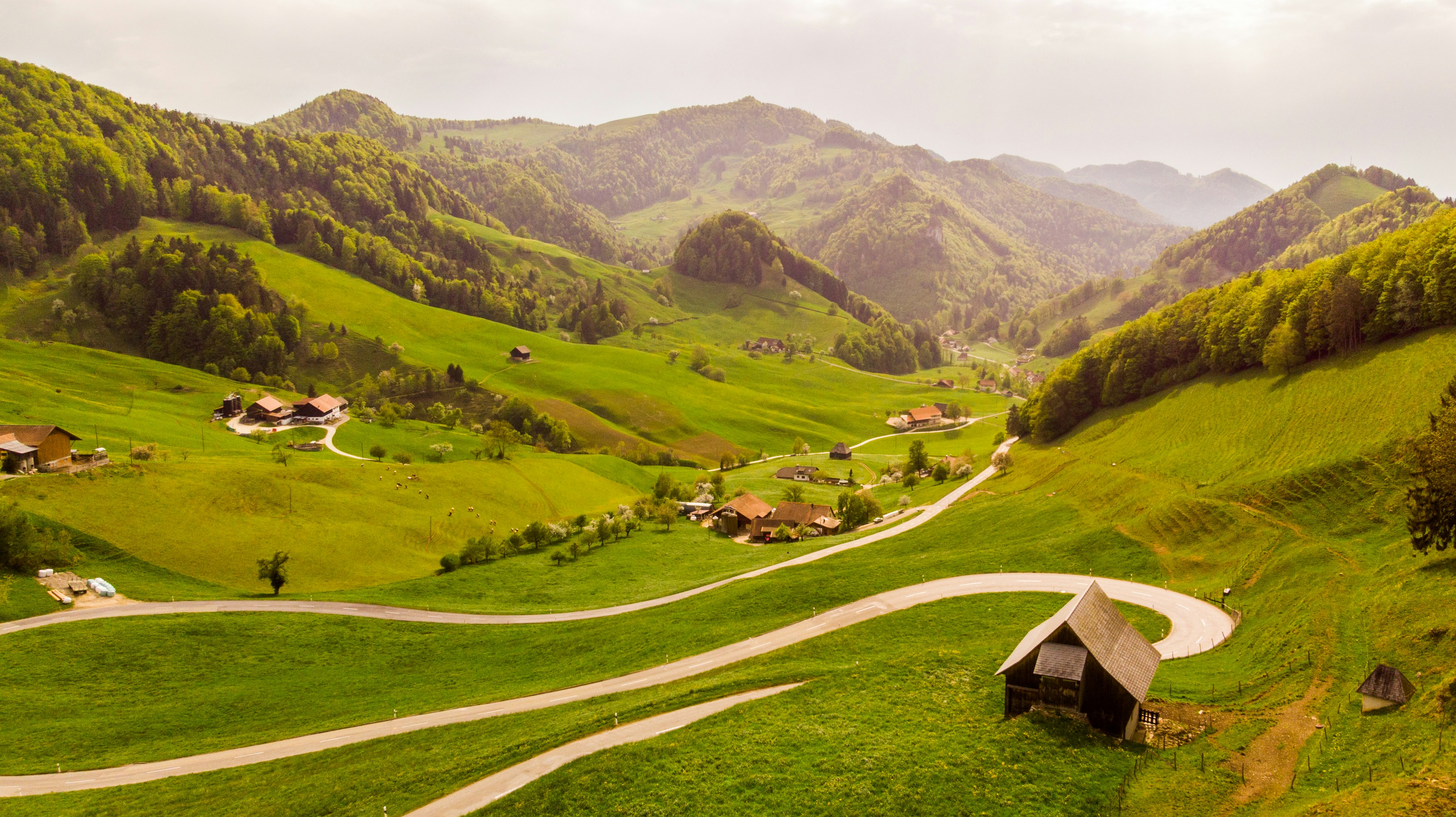 build-a-great-startup-in-2024-with-the-fi-switzerland-startup-accelerator-zurich hero image