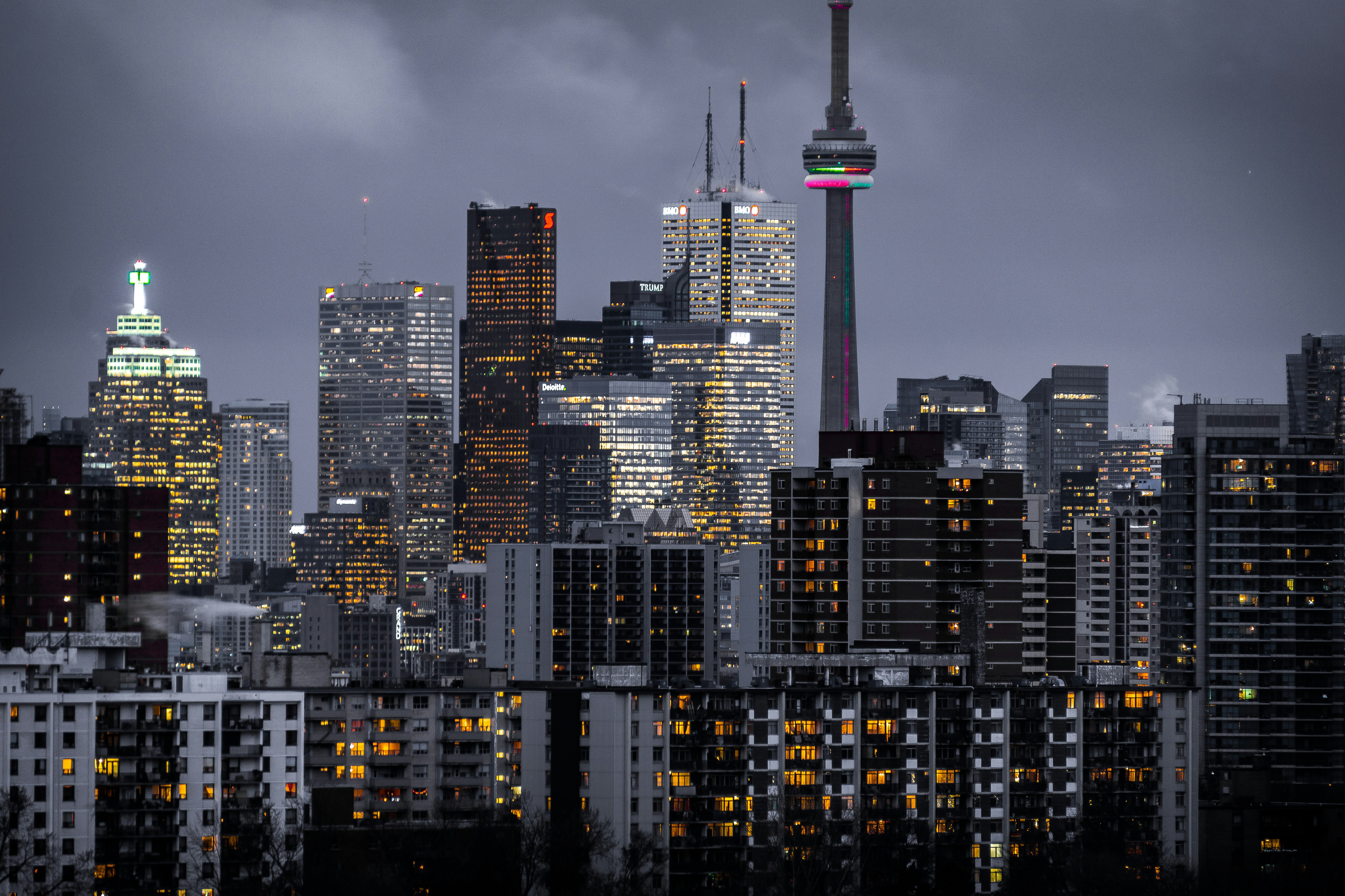 build-a-great-startup-in-2024-with-the-fi-toronto-startup-accelerator-toronto hero image