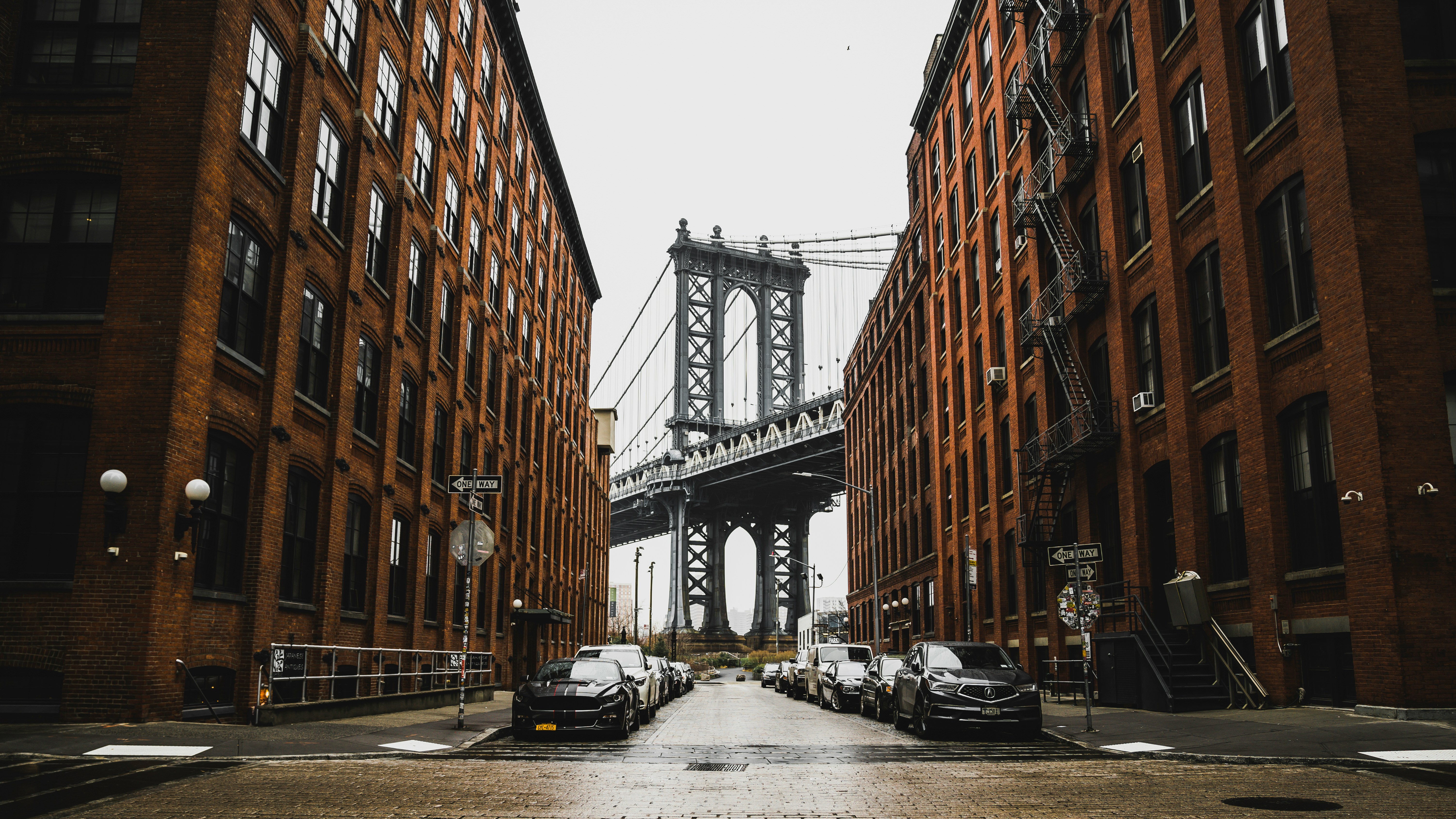 founder-institute-new-york-produces-14-new-technology-companies hero image