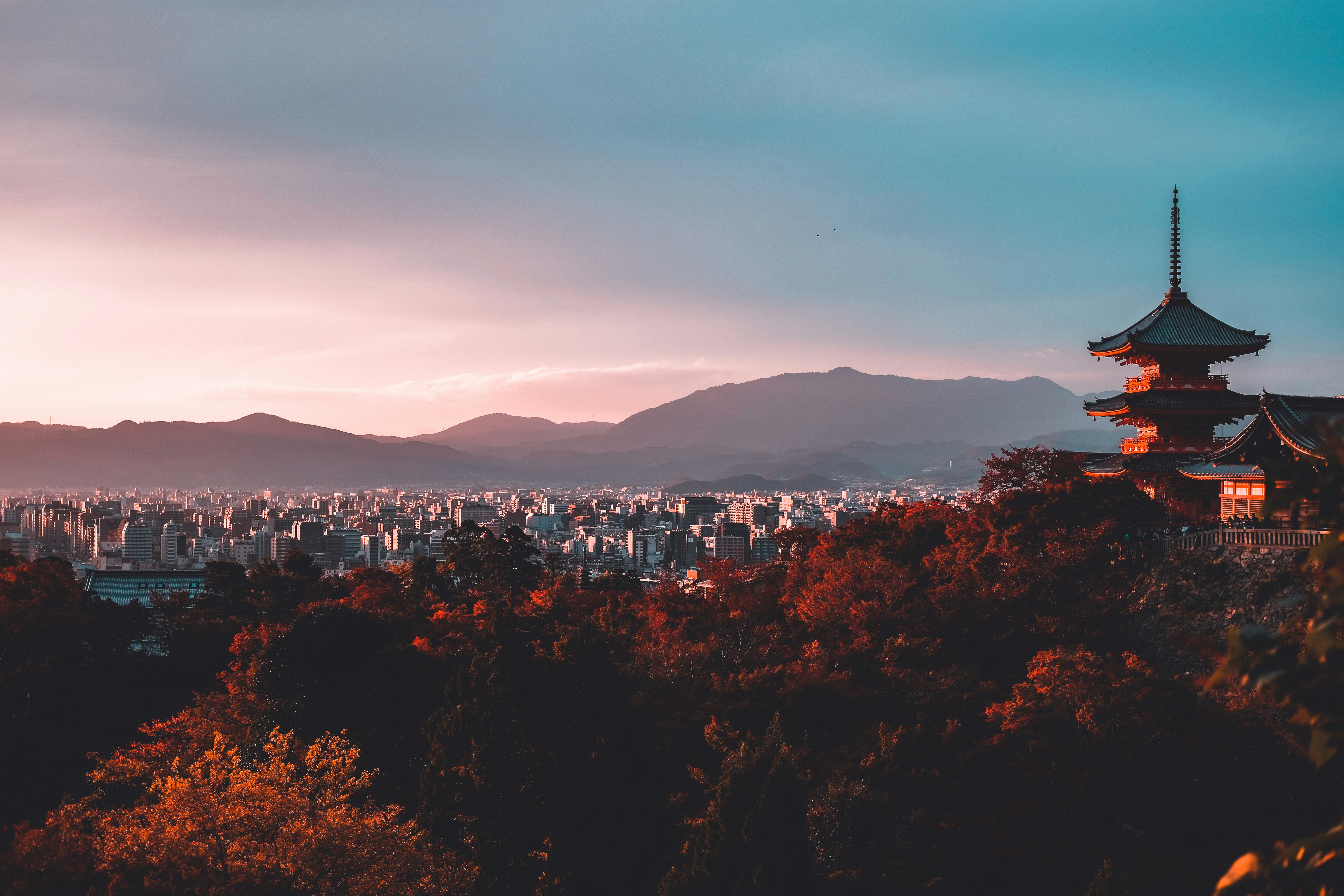 build-a-great-startup-in-2024-with-the-fi-japan-startup-accelerator hero image