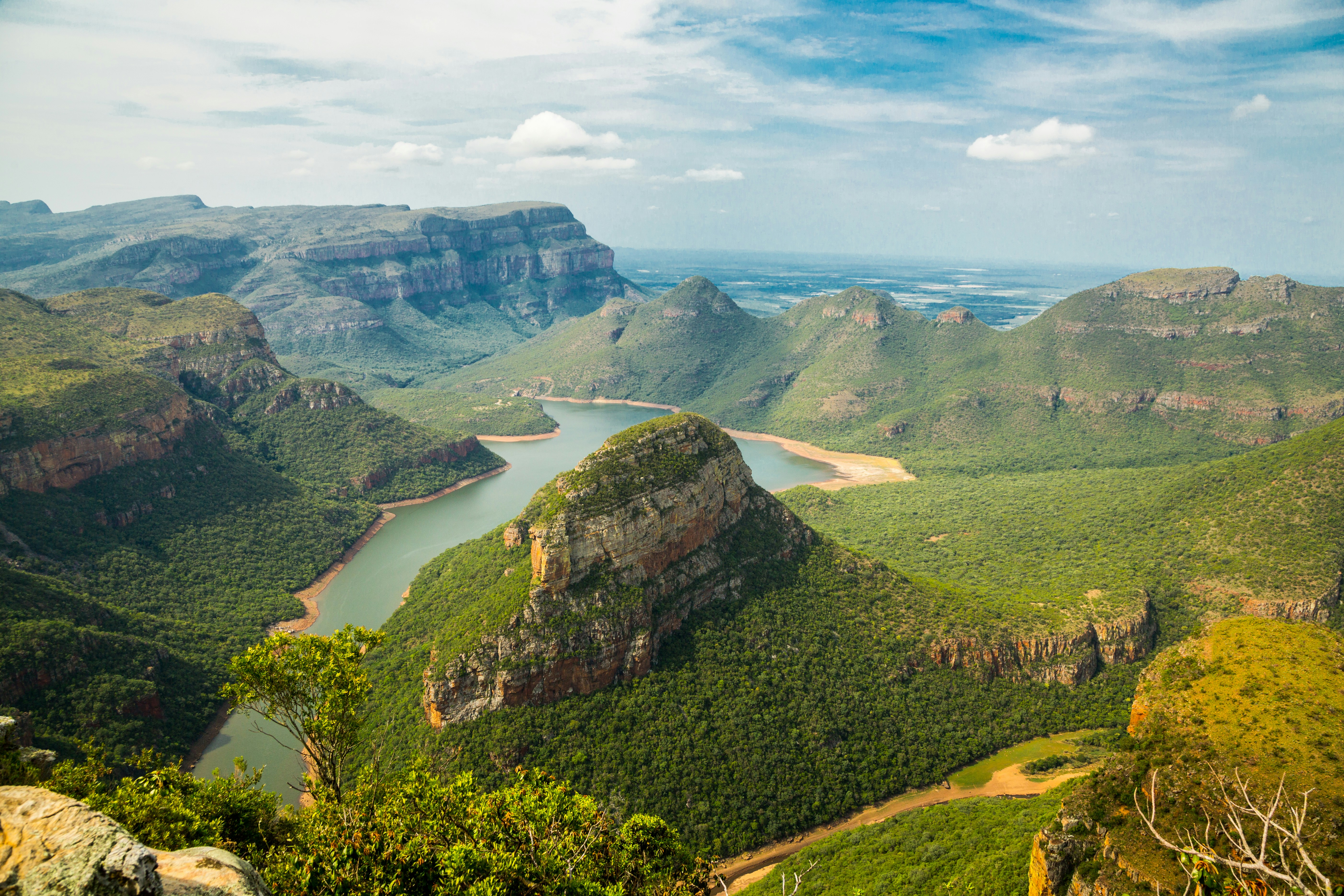 build-a-great-startup-in-2024-with-the-fi-south-africa-startup-accelerator-cape-town hero image