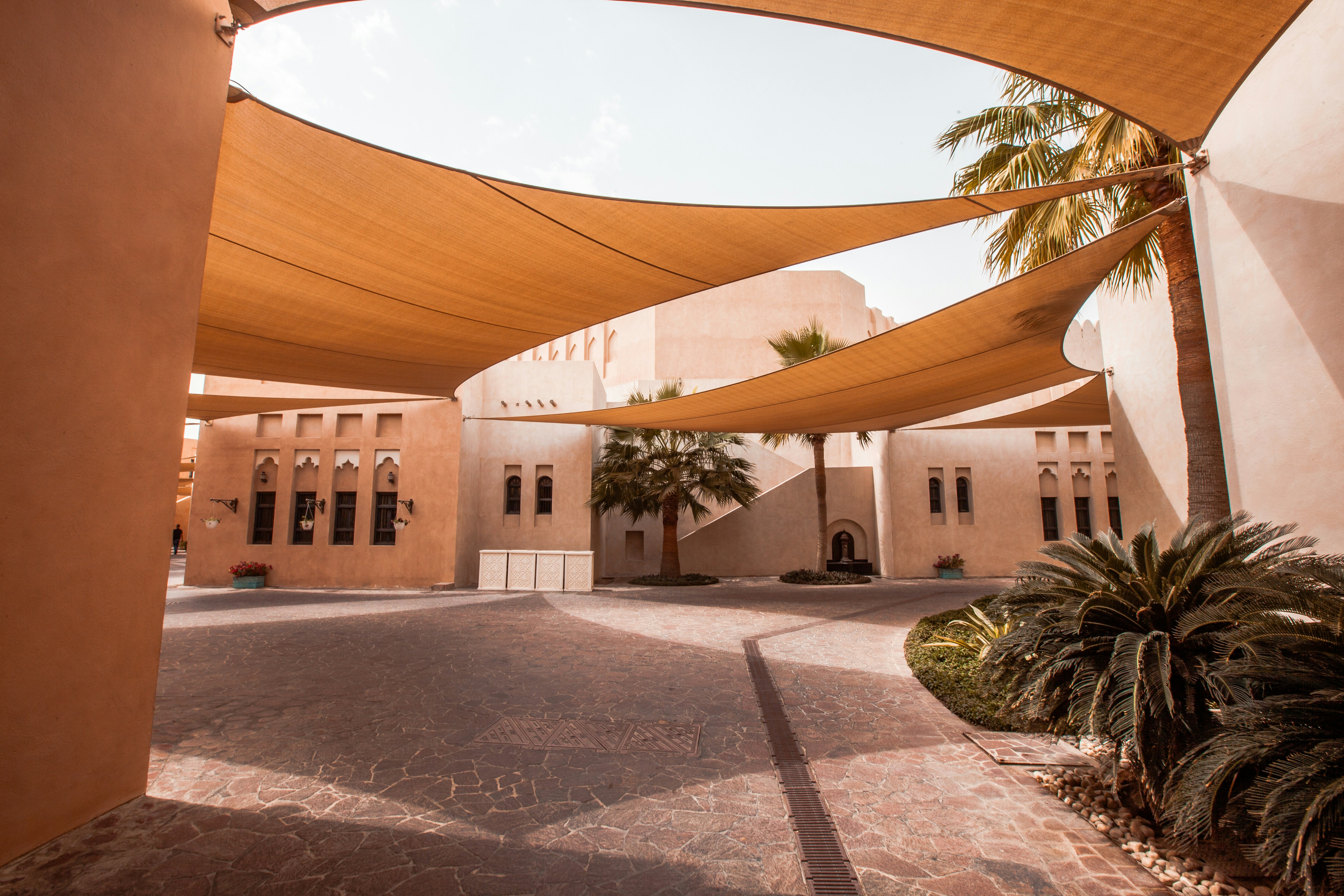 build-a-great-startup-in-2024-with-the-fi-gcc-startup-accelerator-dubai hero image